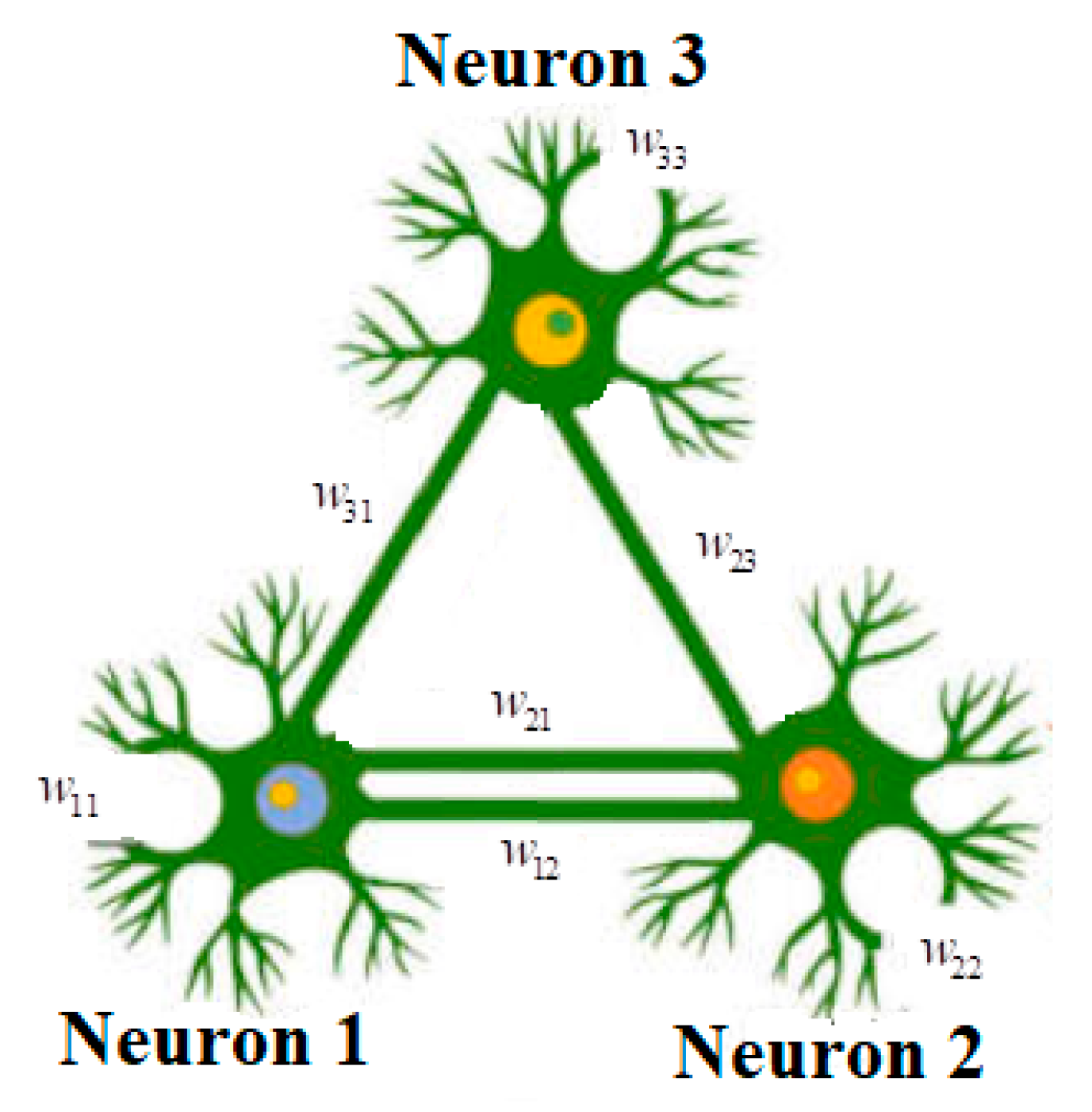 Symmetry 17 00330 g001