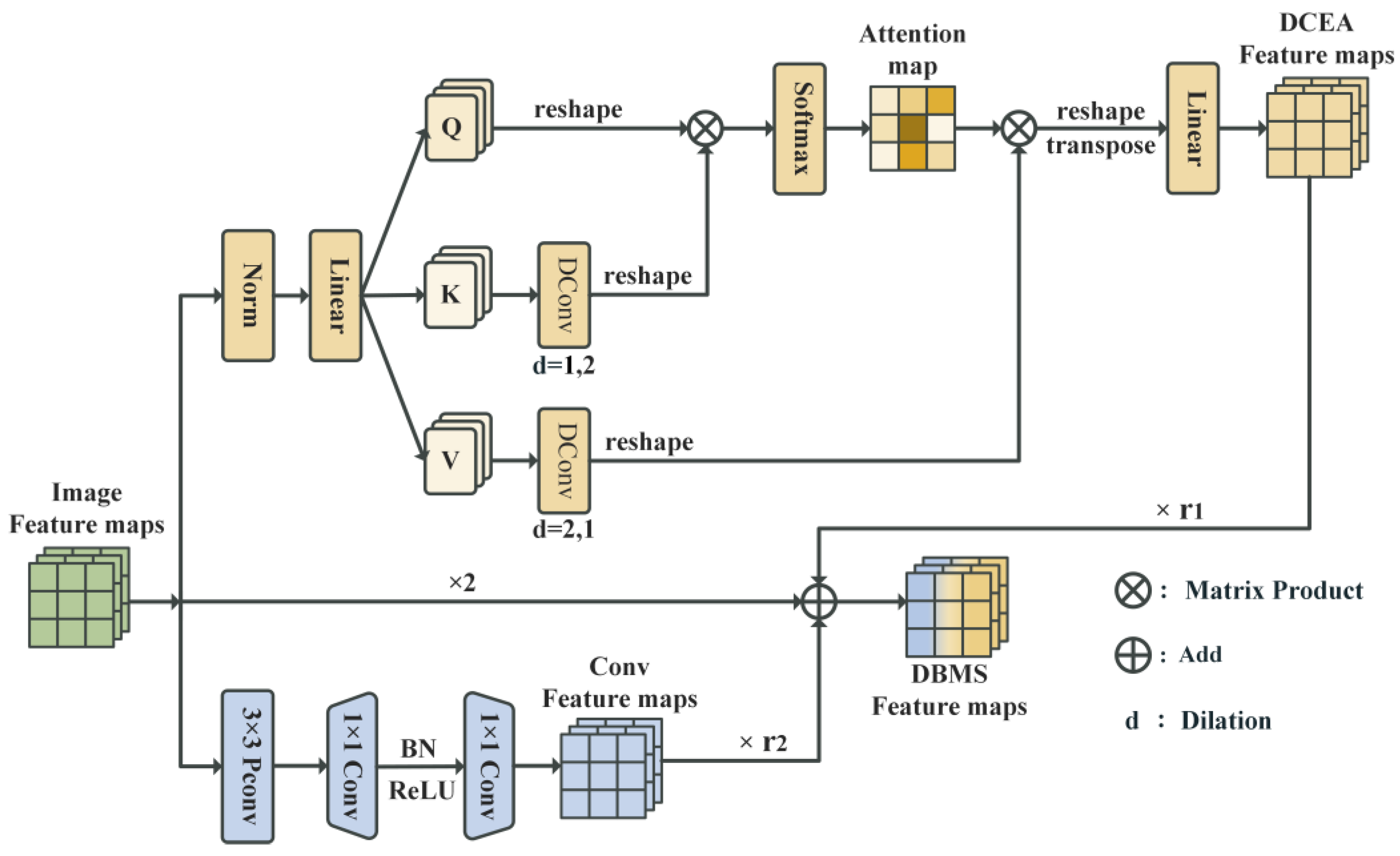 Symmetry 17 00347 g003