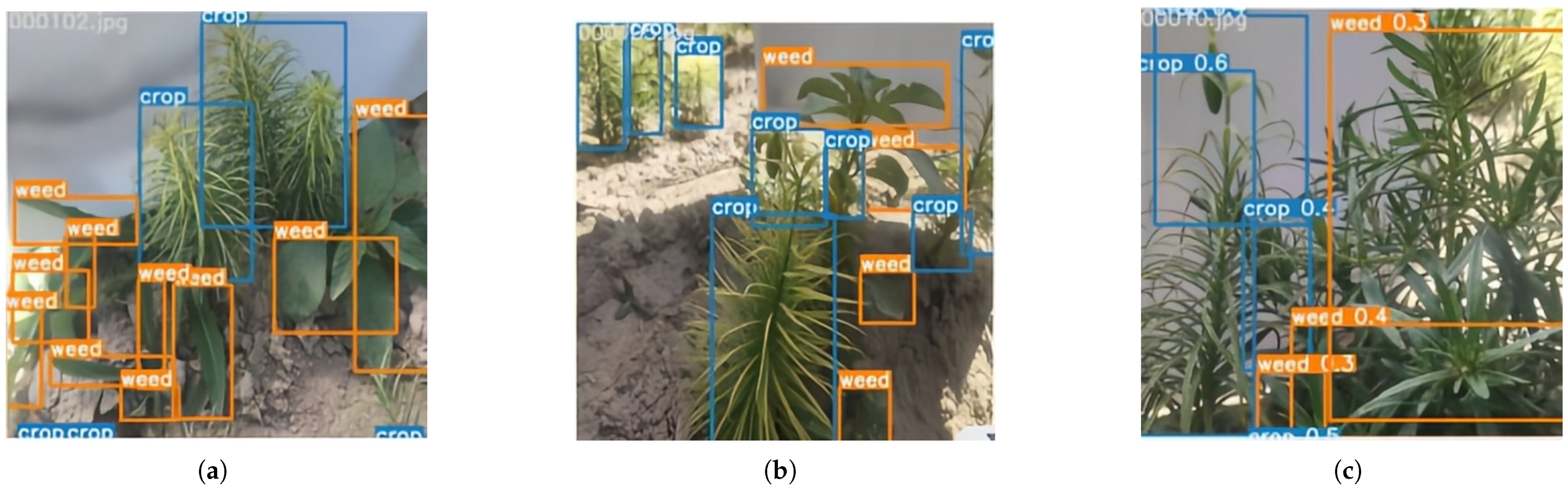 Symmetry 17 00370 g010