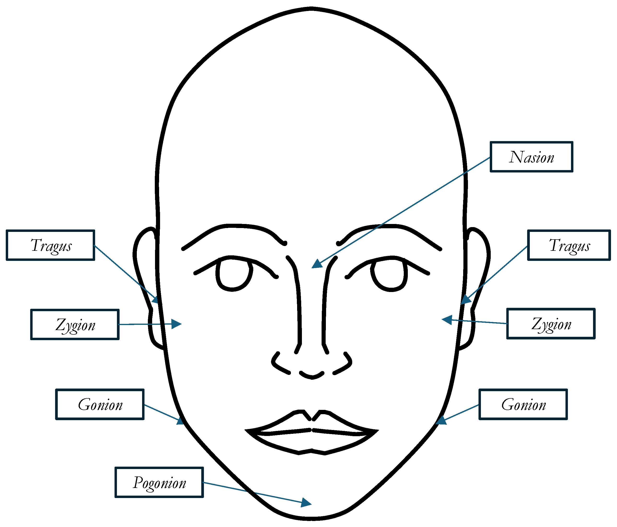Symmetry 17 00376 g004