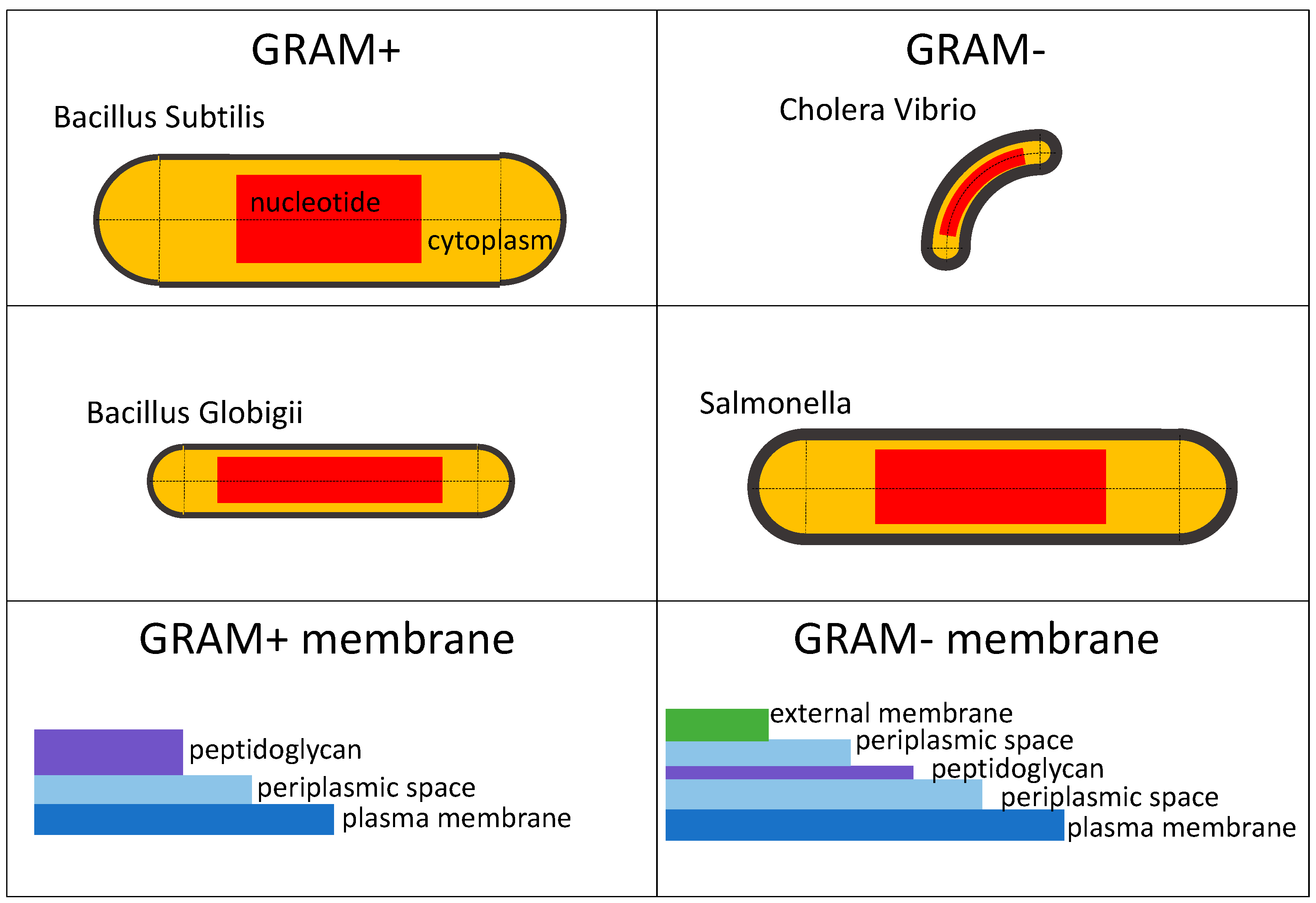 Symmetry 17 00396 g001