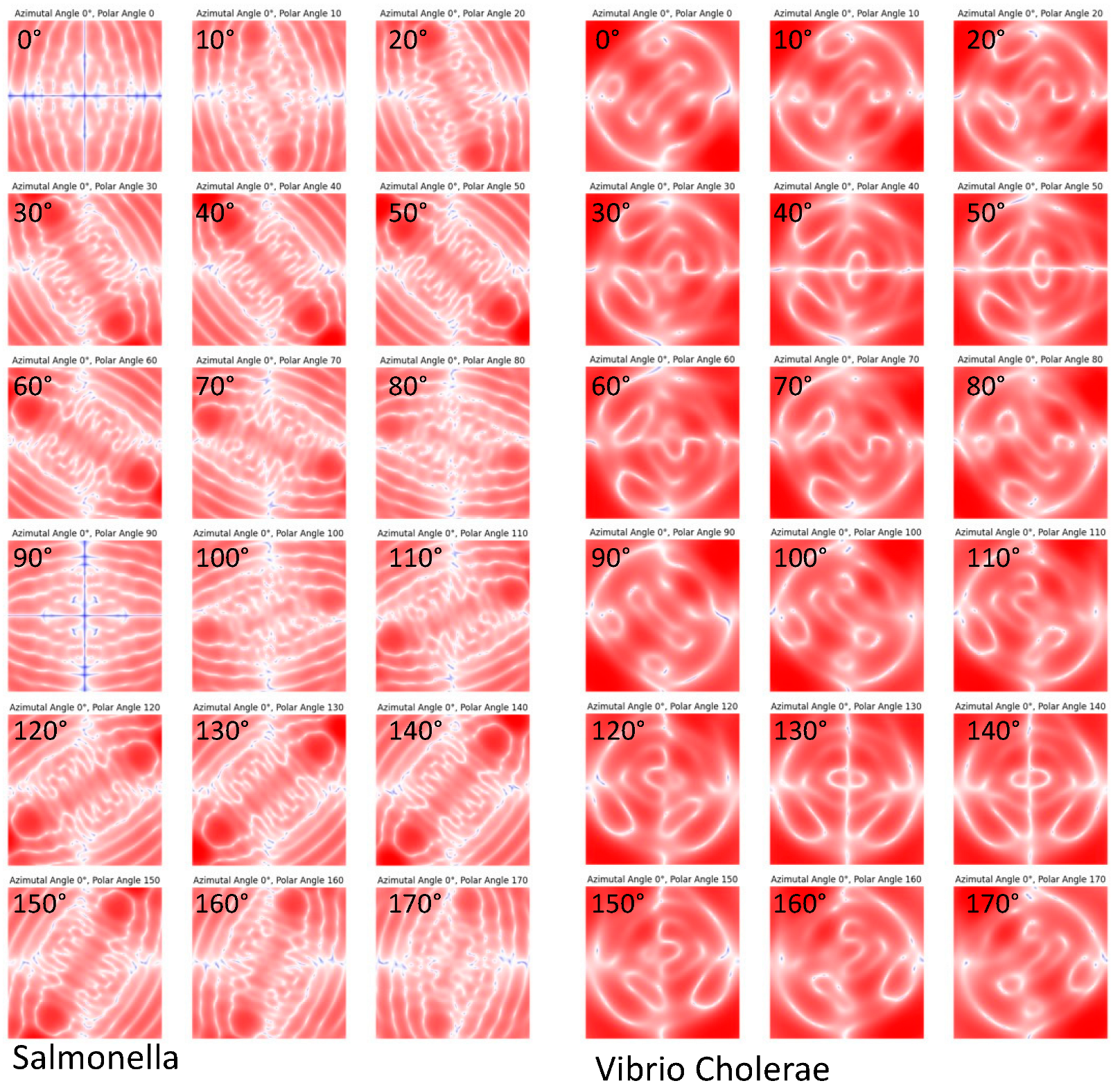 Symmetry 17 00396 g004