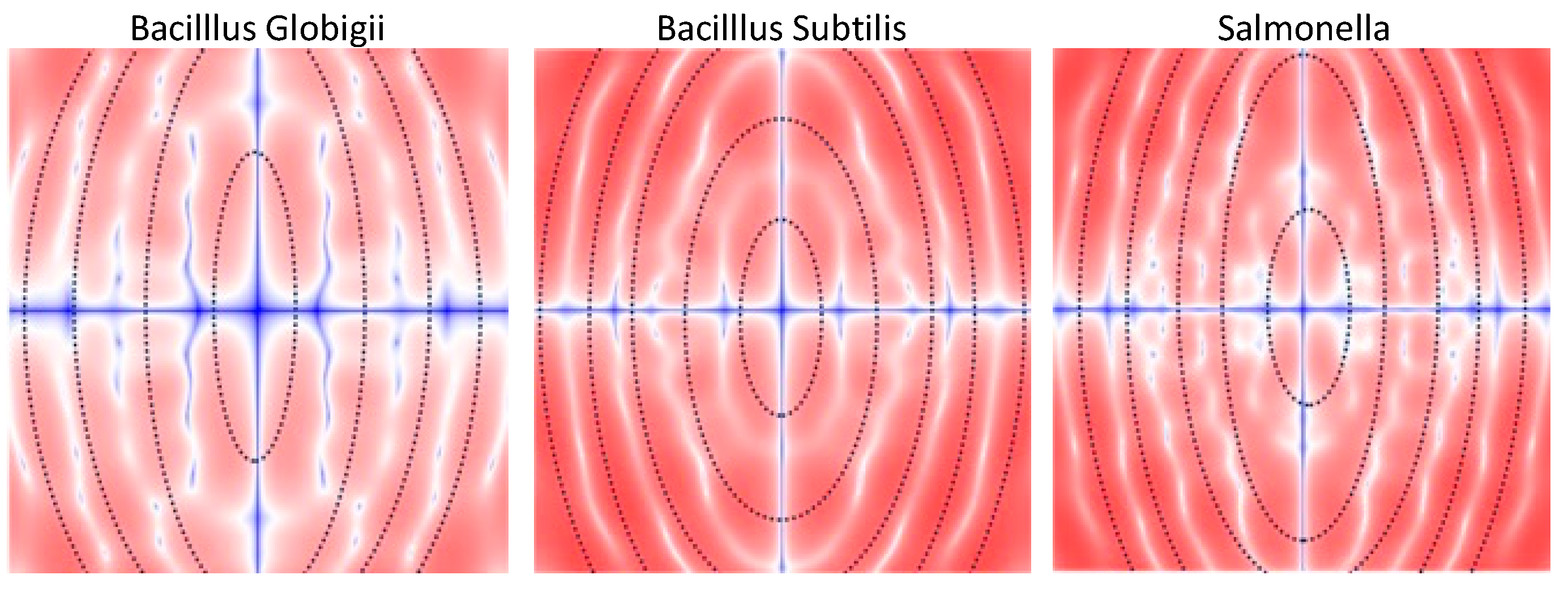 Symmetry 17 00396 g005