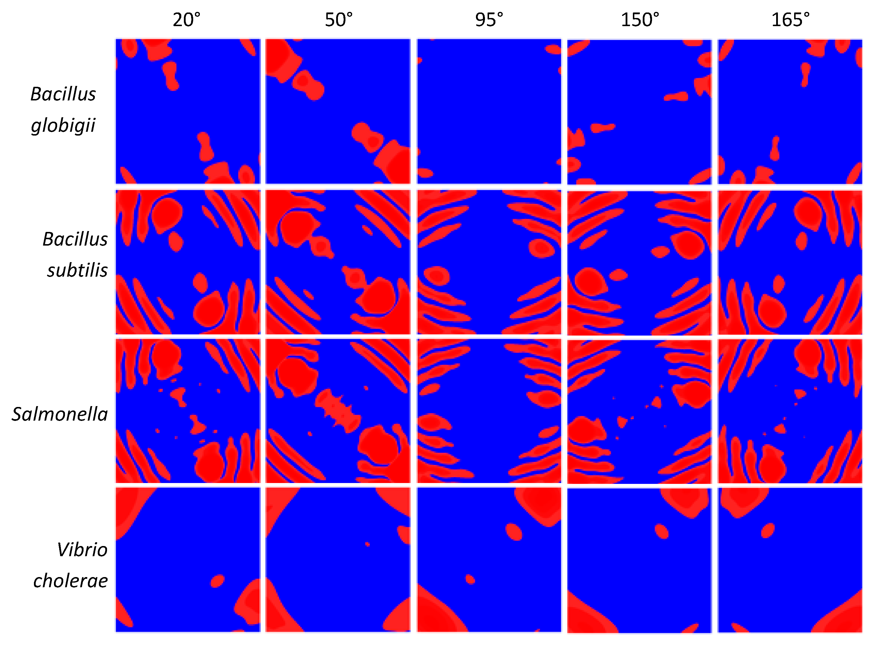 Symmetry 17 00396 g009