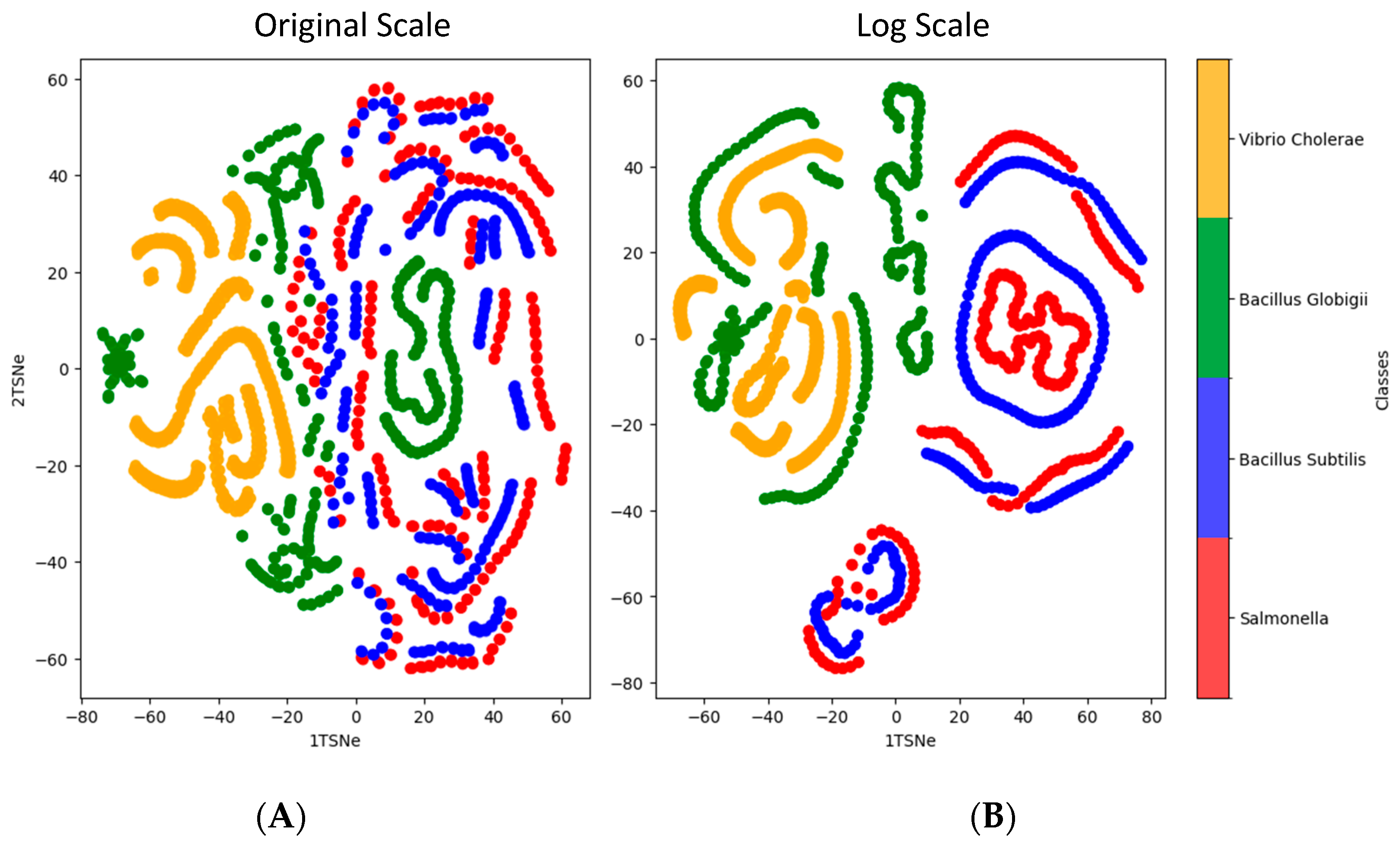 Symmetry 17 00396 g010