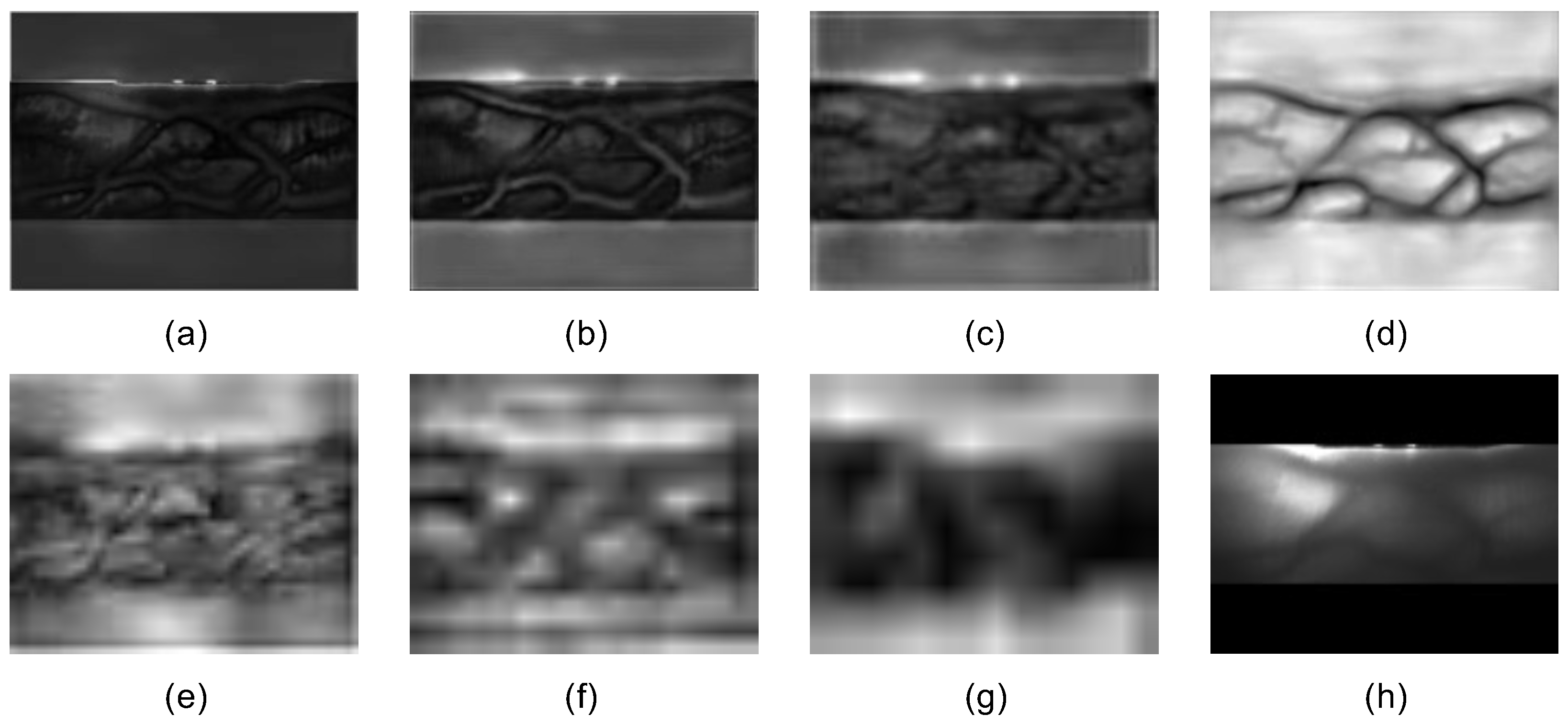 Symmetry 17 00420 g006