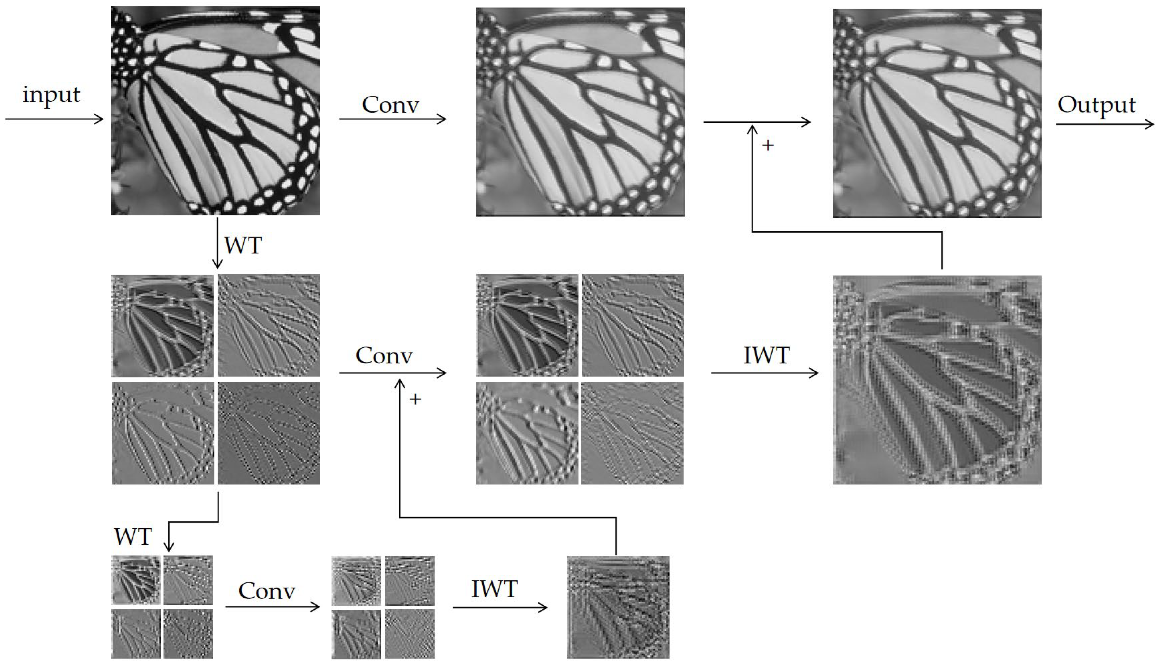 Symmetry 17 00431 g004