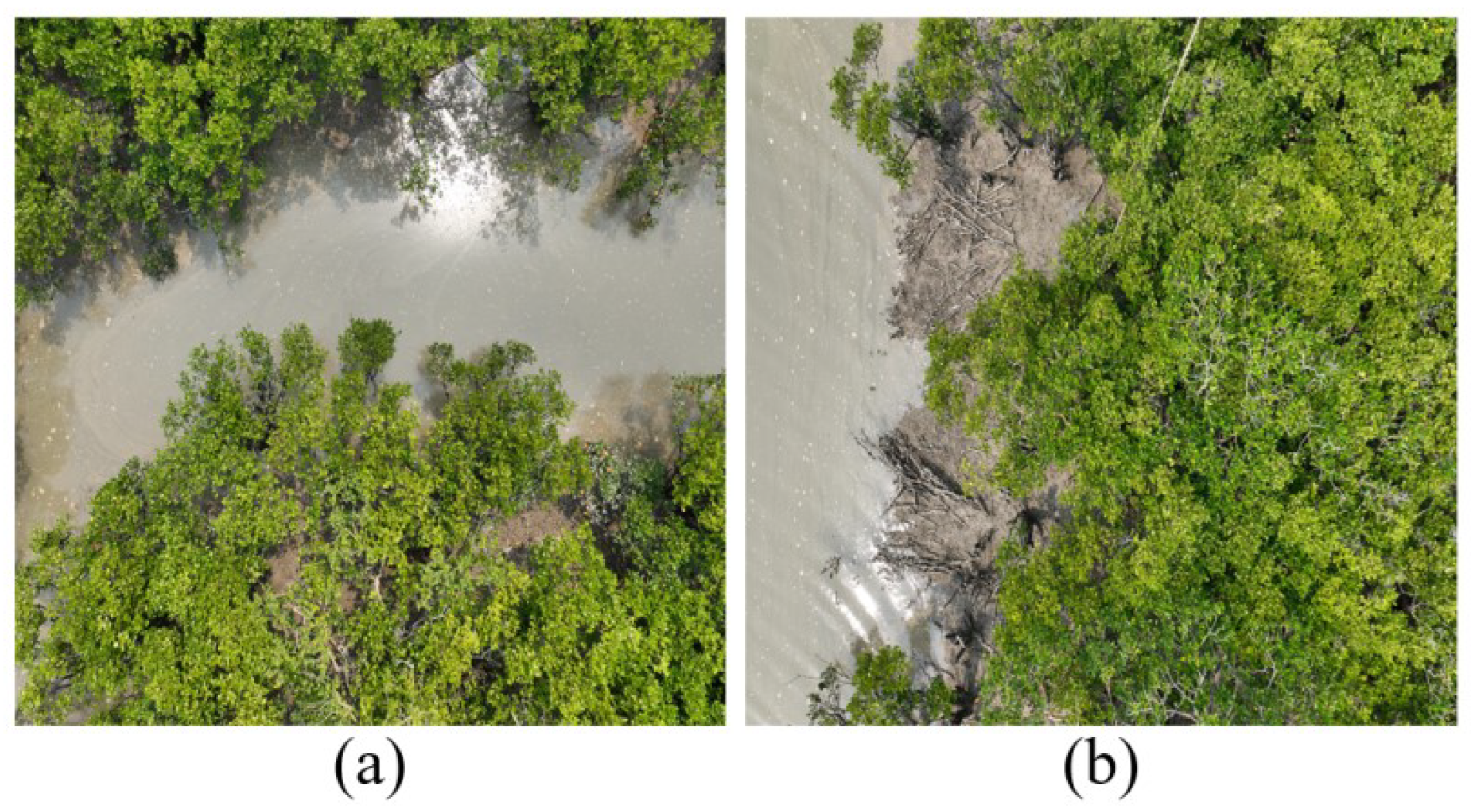 Symmetry 17 00461 g001