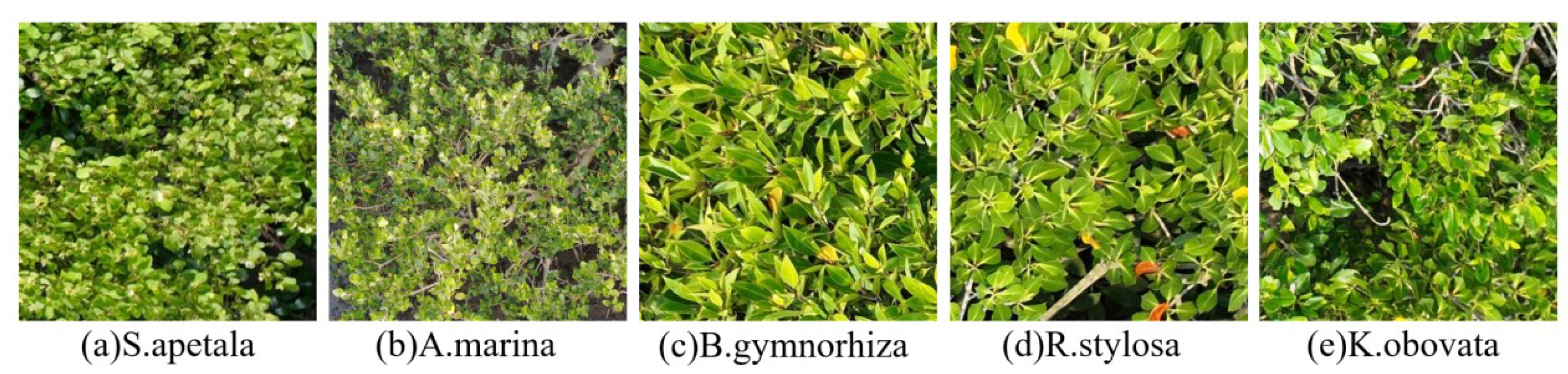 Symmetry 17 00461 g008