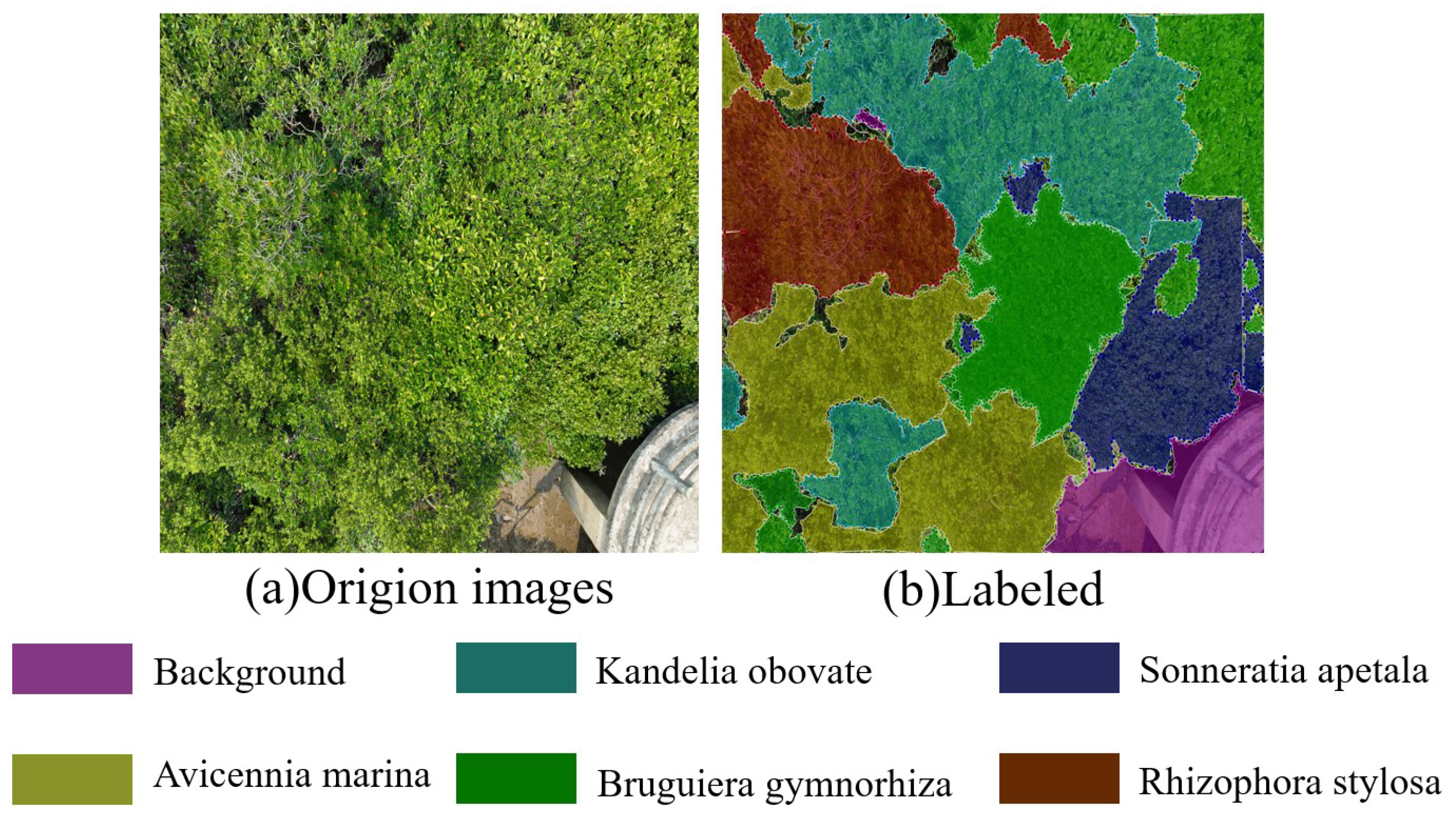 Symmetry 17 00461 g009