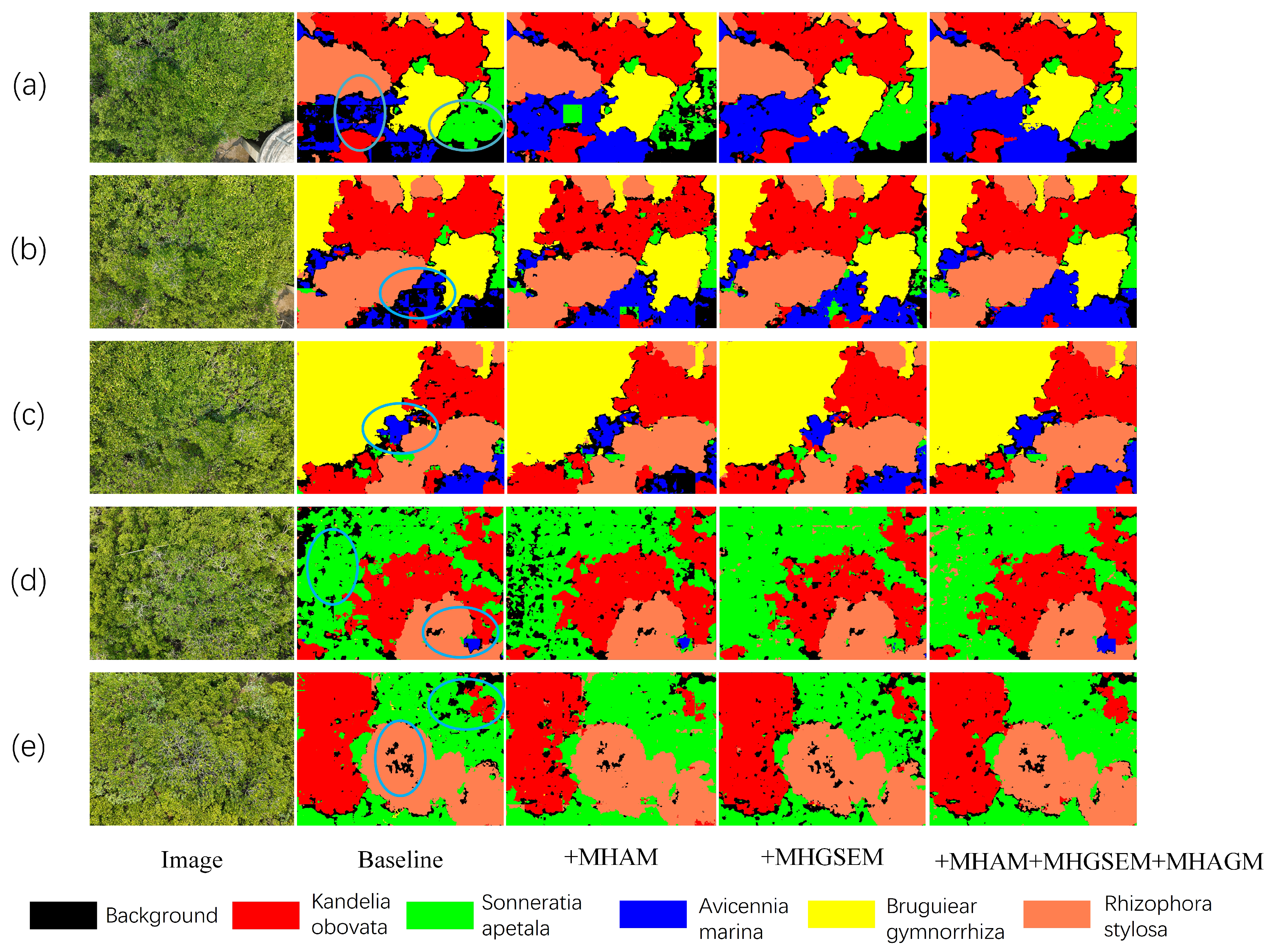 Symmetry 17 00461 g010