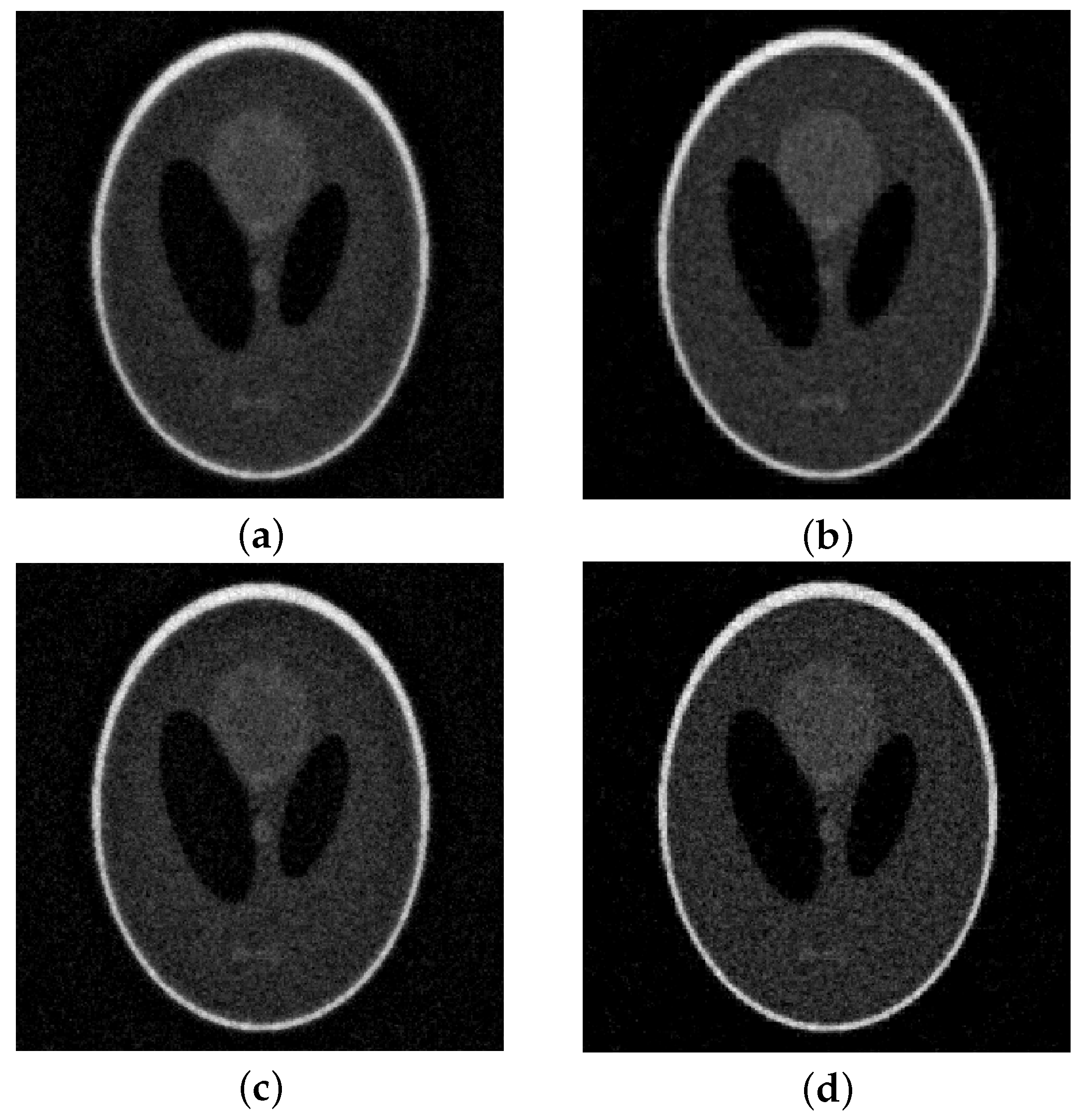 Symmetry 17 00470 g004