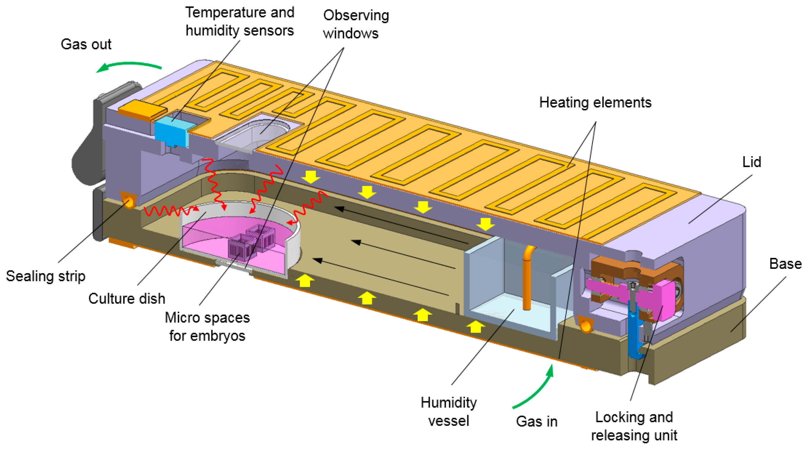 Symmetry 17 00478 g001