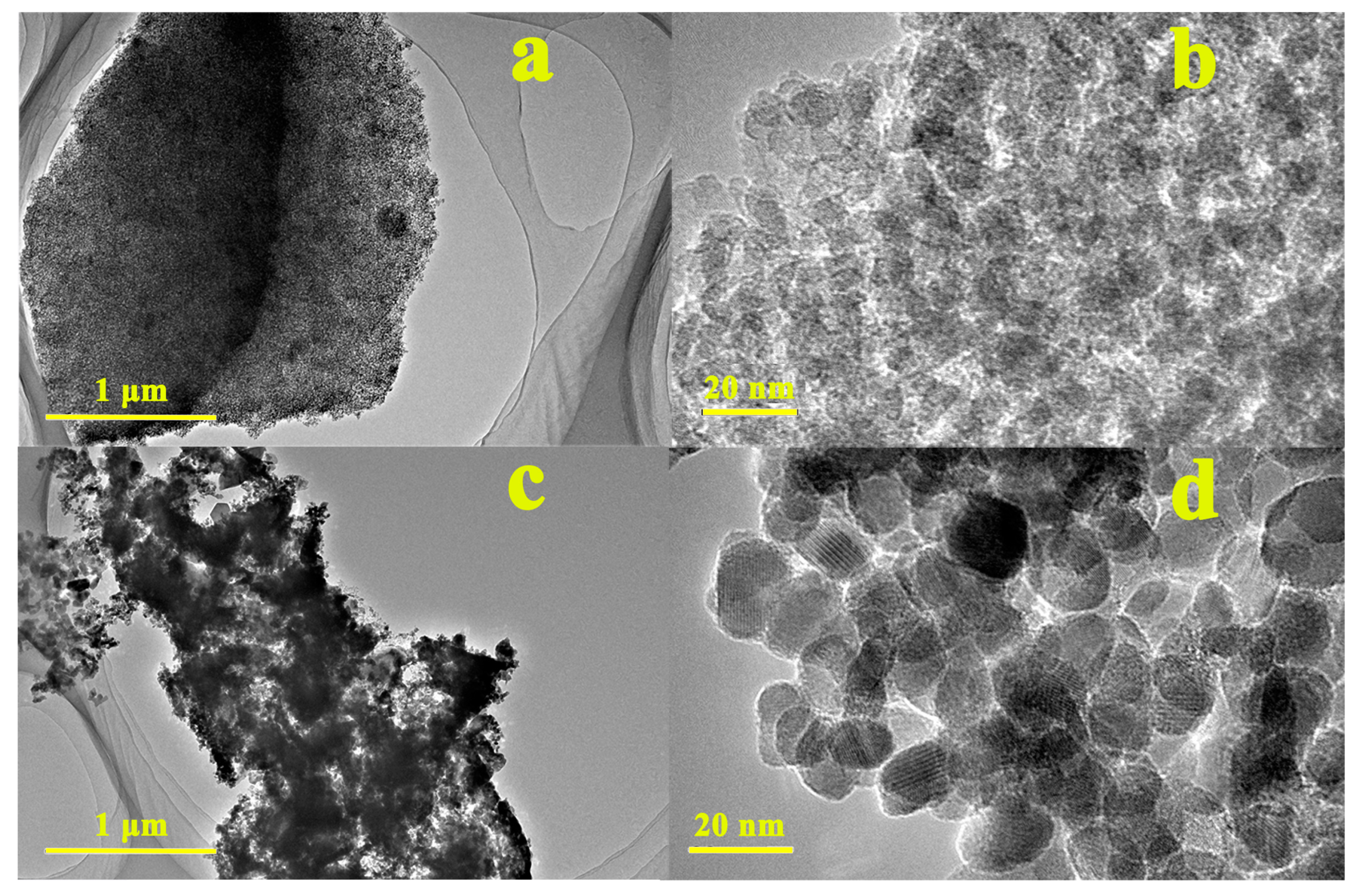 Symmetry 17 00516 g003