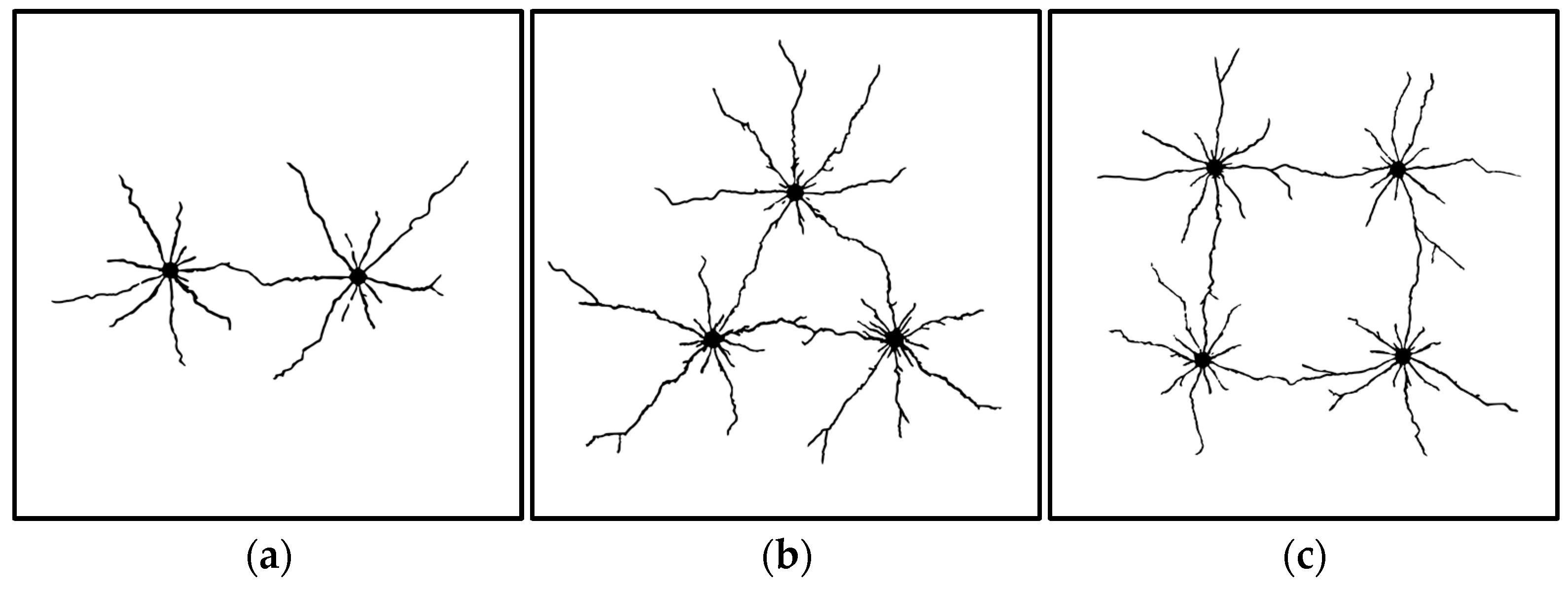 Symmetry 17 00555 g005