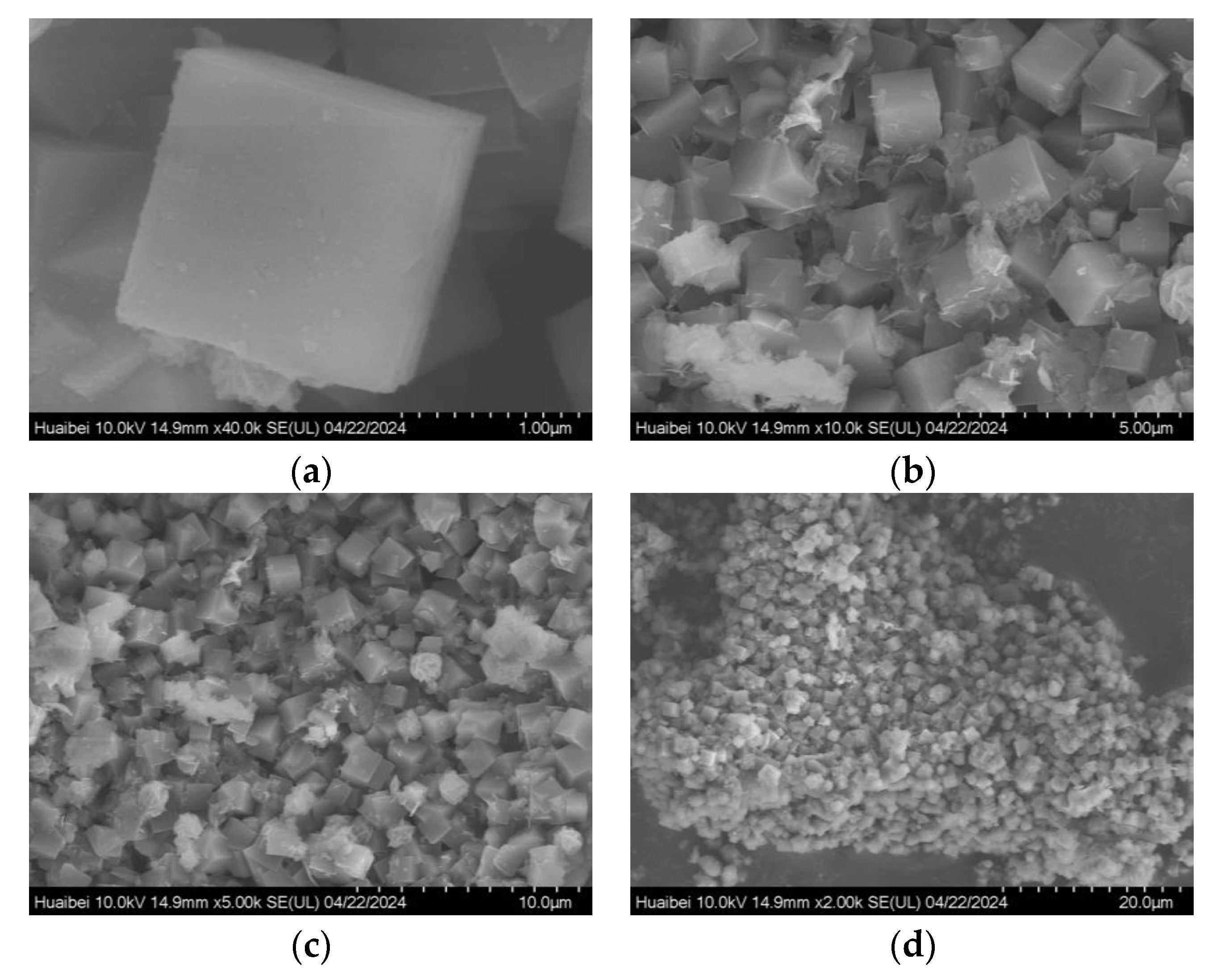 Symmetry 17 00603 g005