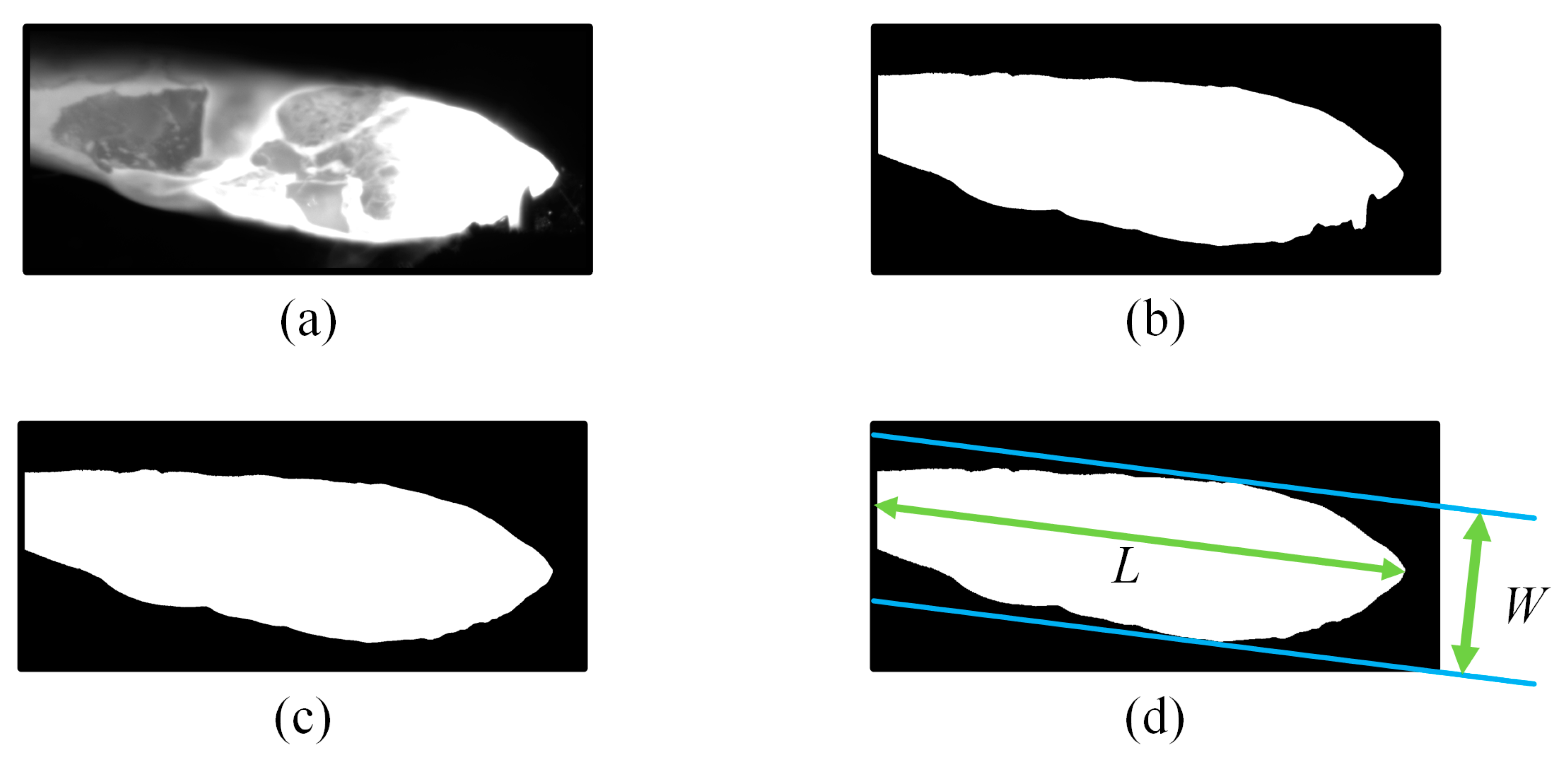 Symmetry 17 00611 g007