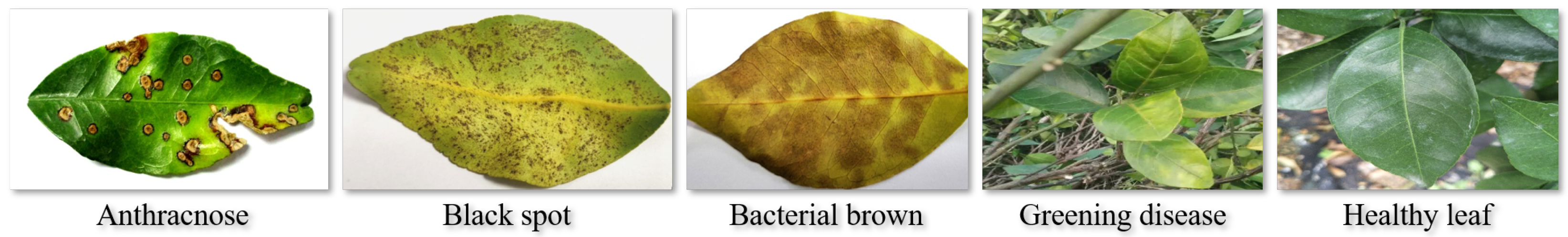 Symmetry 17 00617 g006