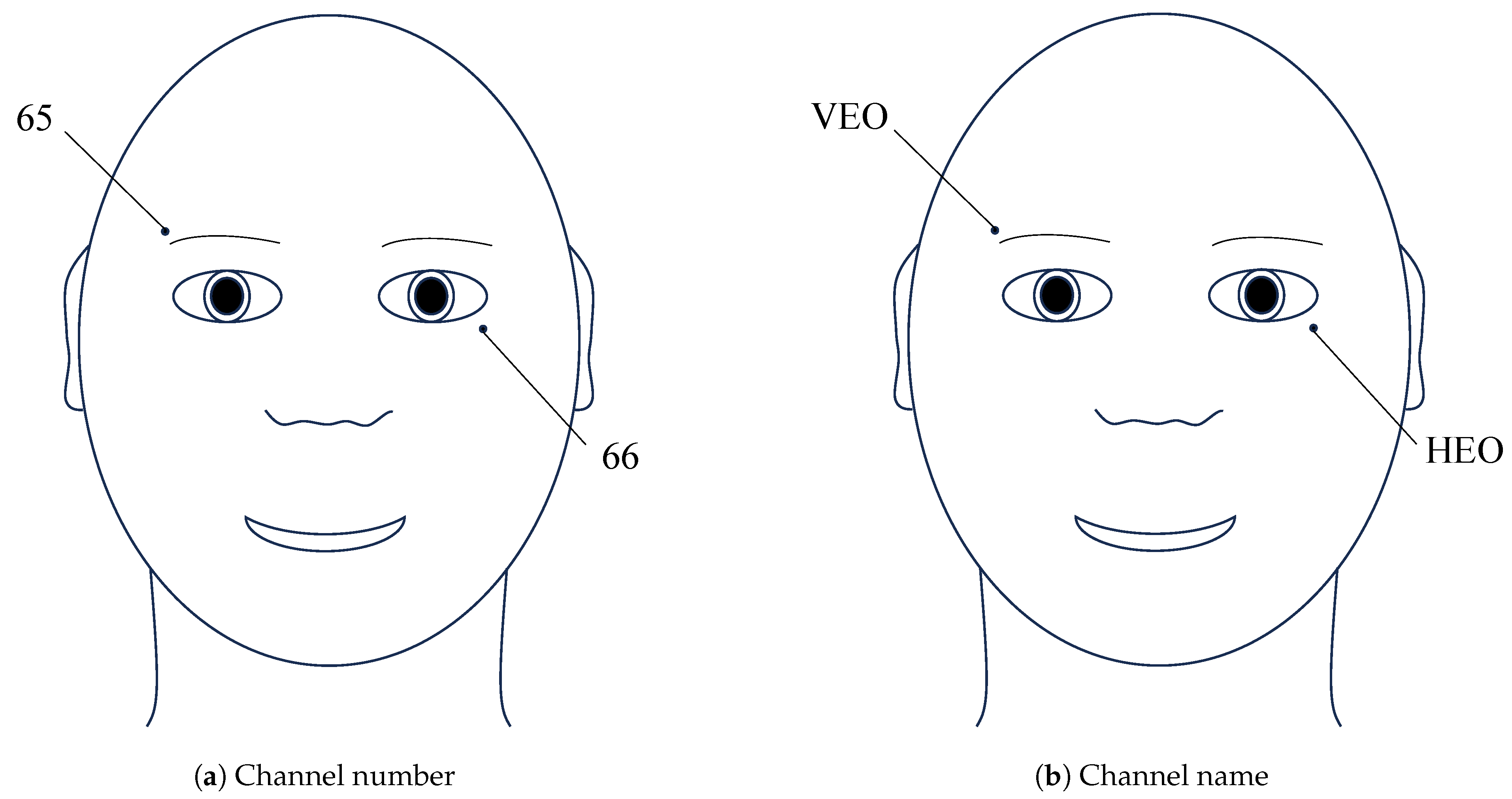 Symmetry 17 00623 g002