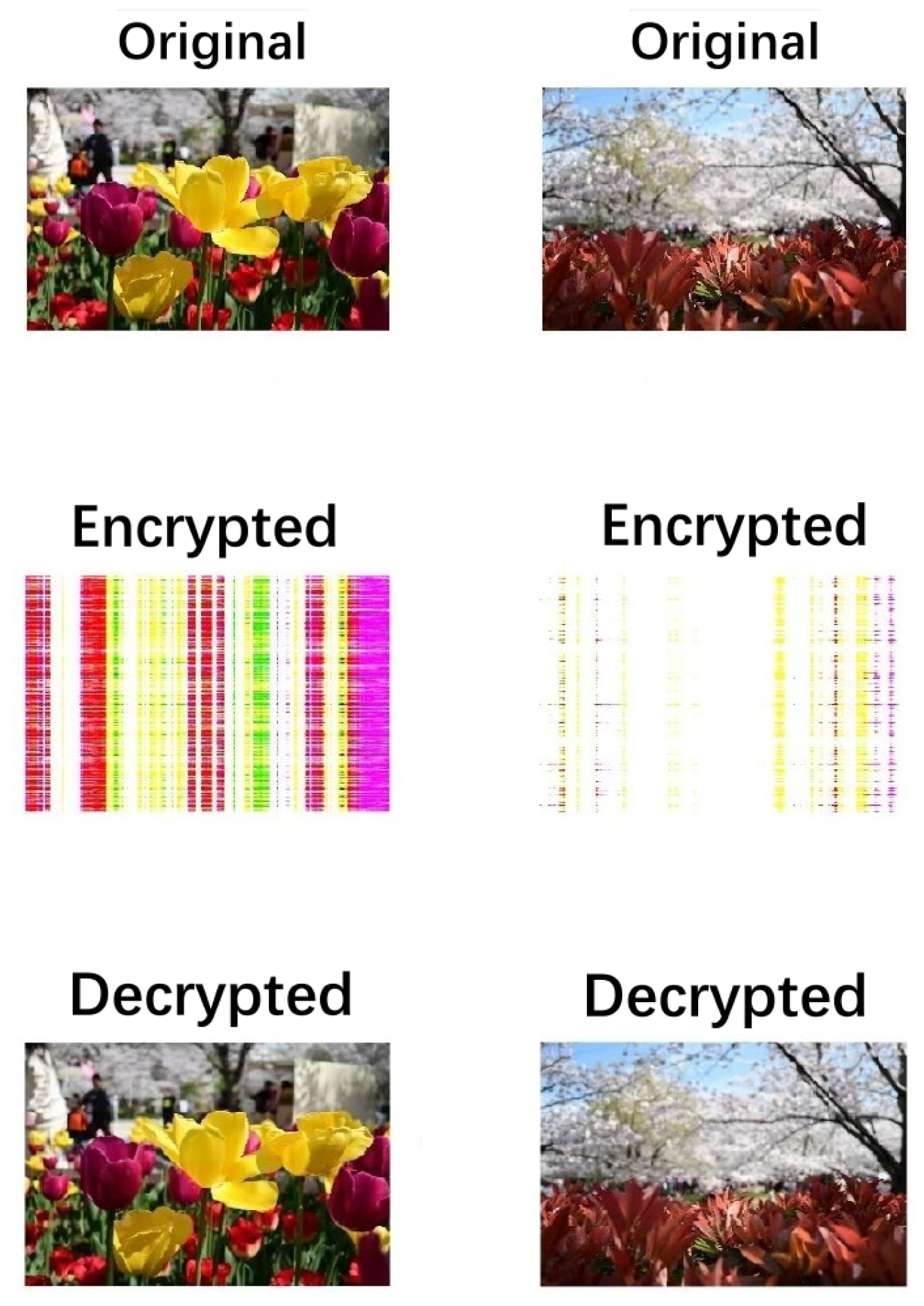 Symmetry 17 00625 g003