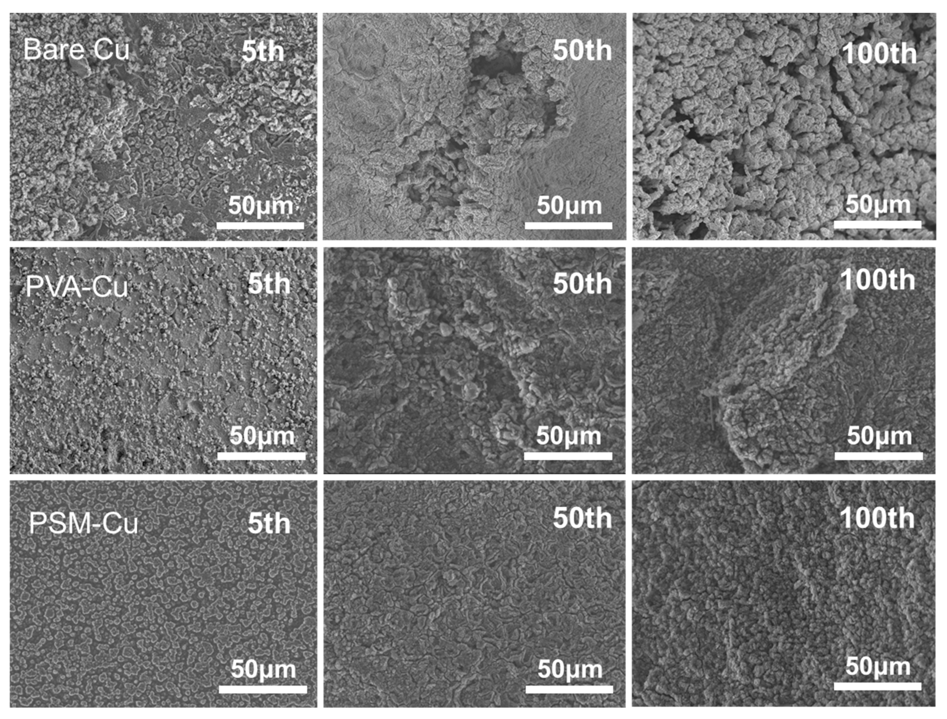Symmetry 17 00652 g005