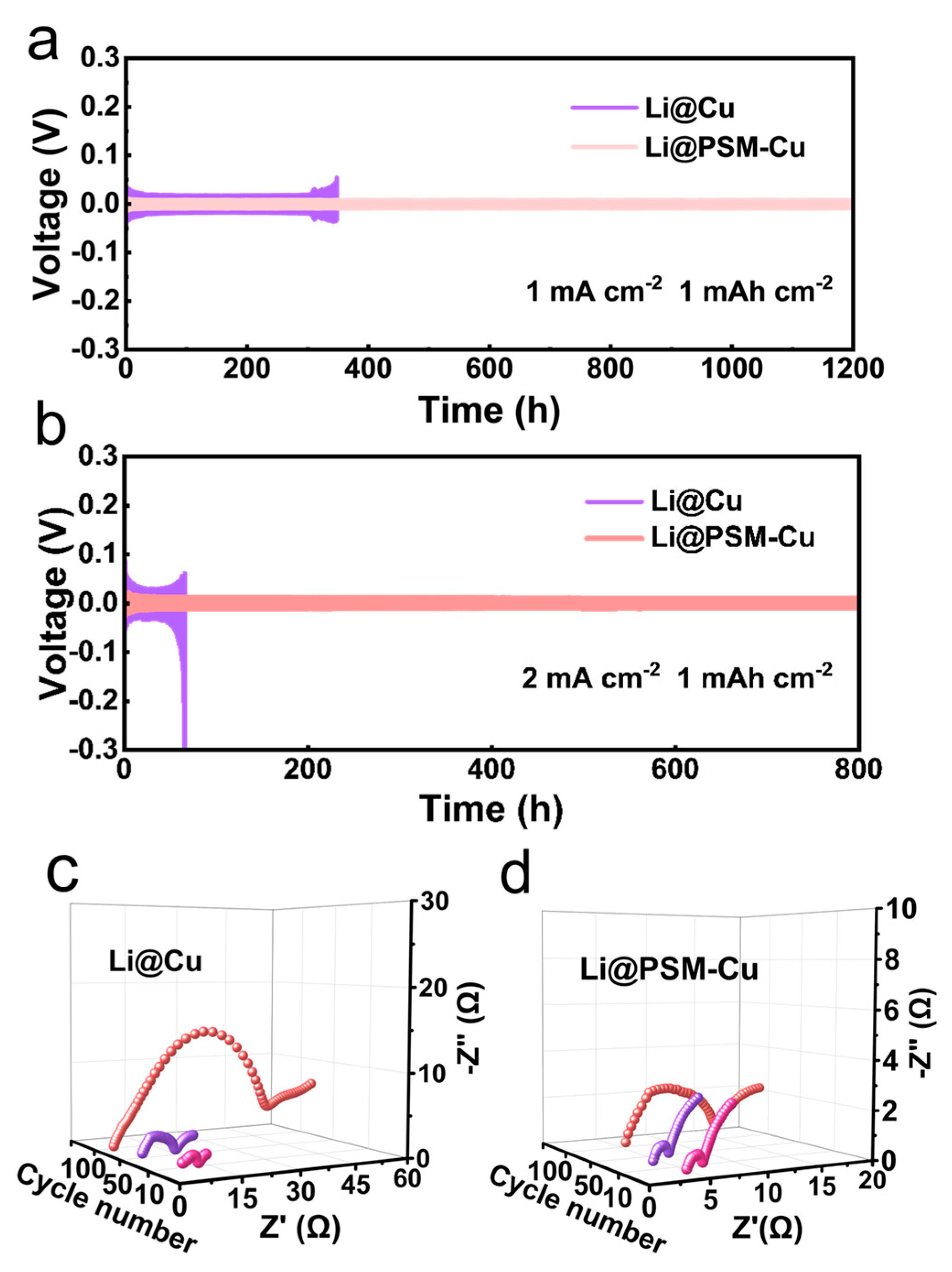 Symmetry 17 00652 g006