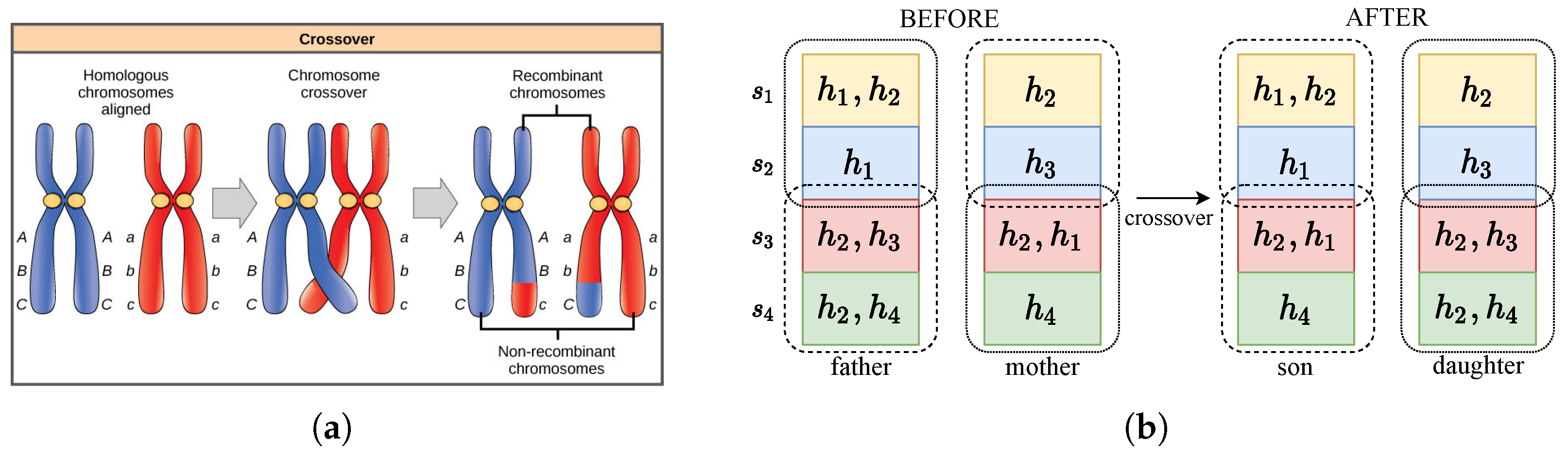 Symmetry 17 00718 g004