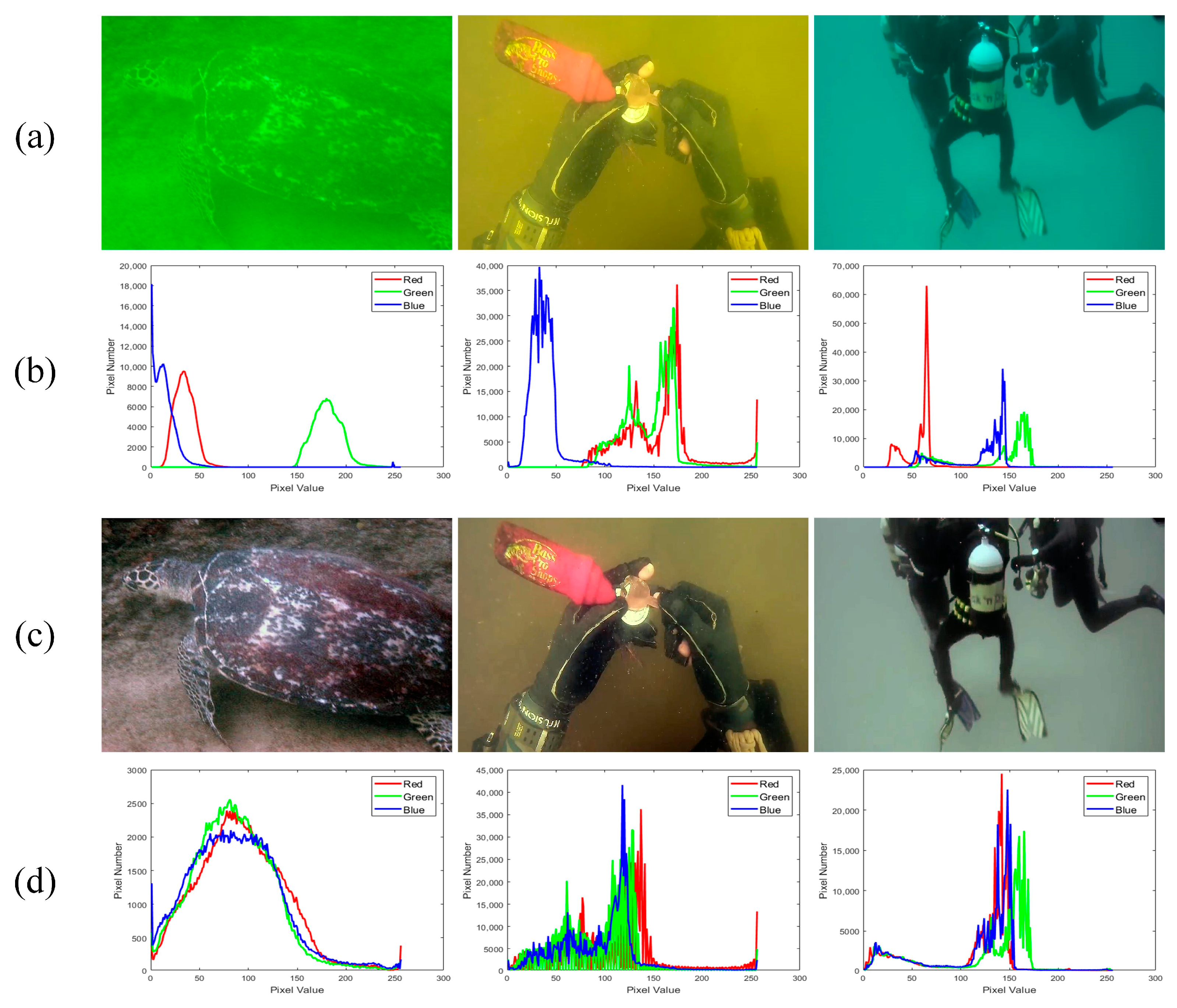 Symmetry 17 00725 g005