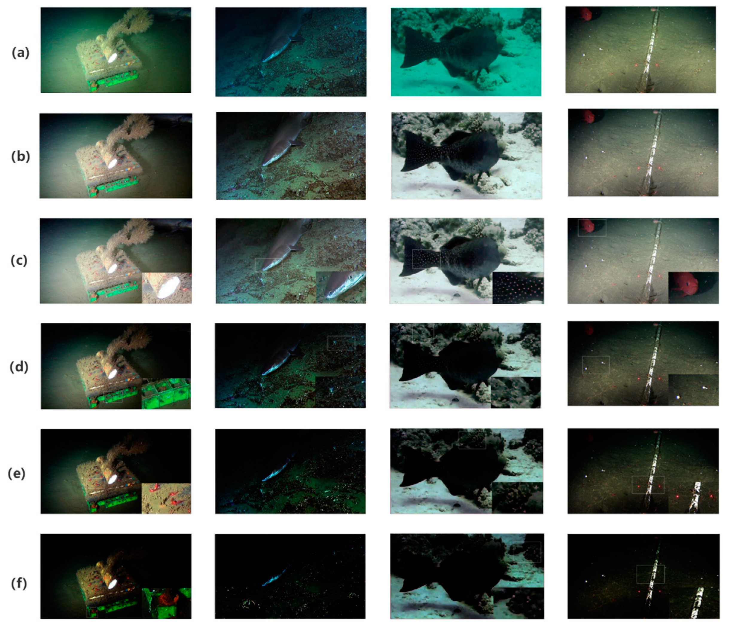 Symmetry 17 00725 g006