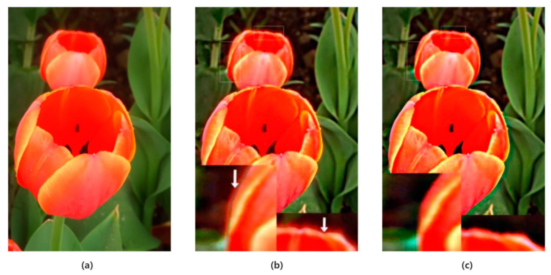 Symmetry 17 00725 g007