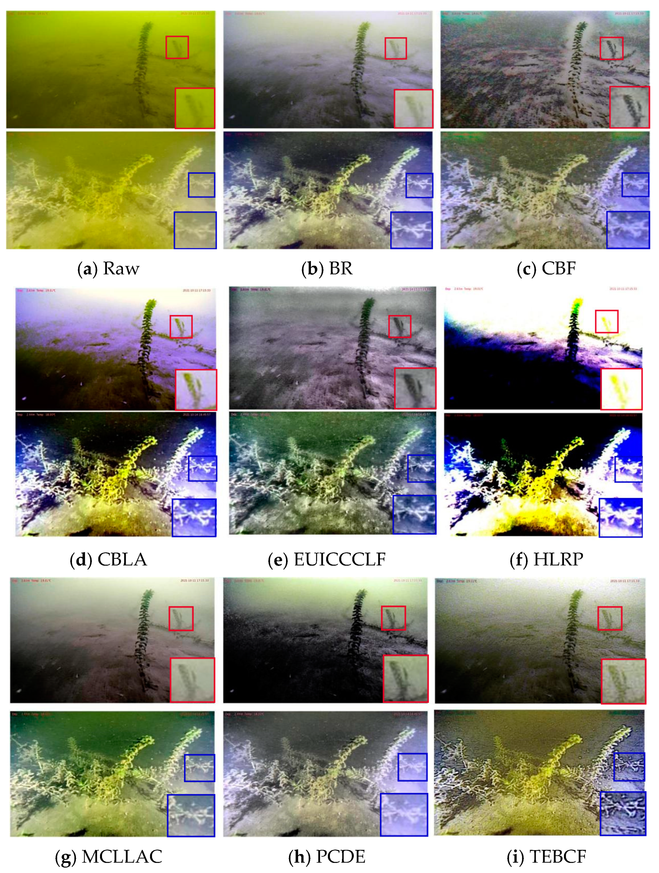 Symmetry 17 00725 g009a