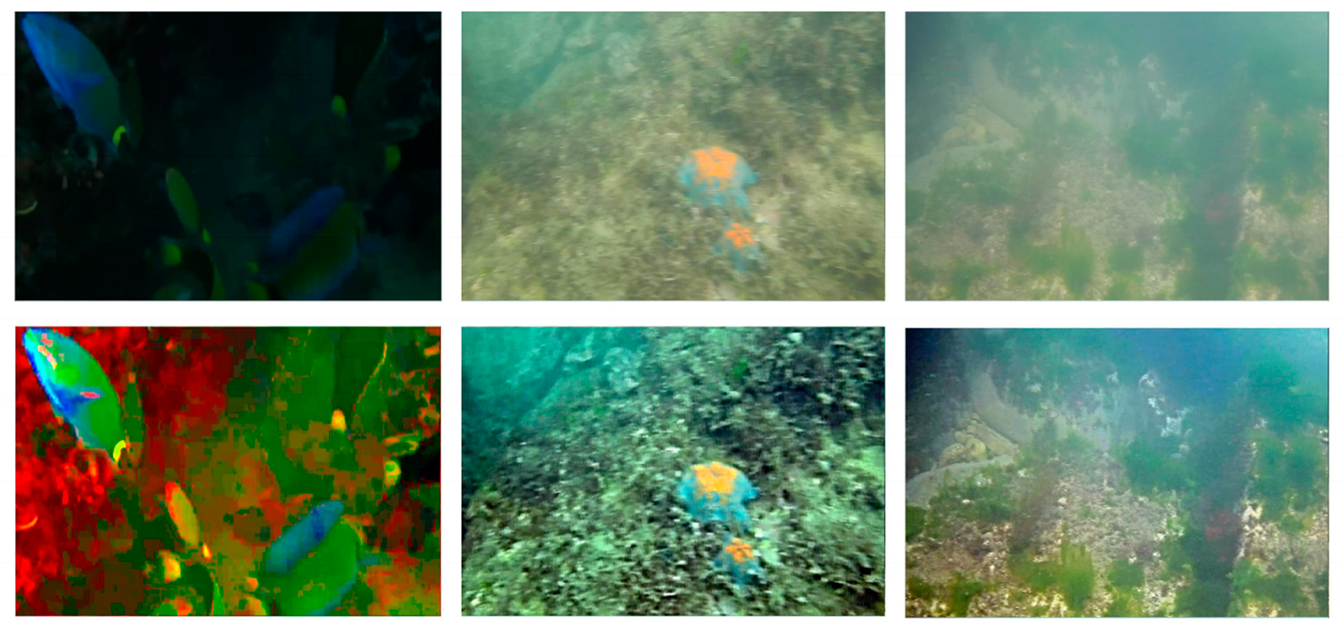 Symmetry 17 00725 g014