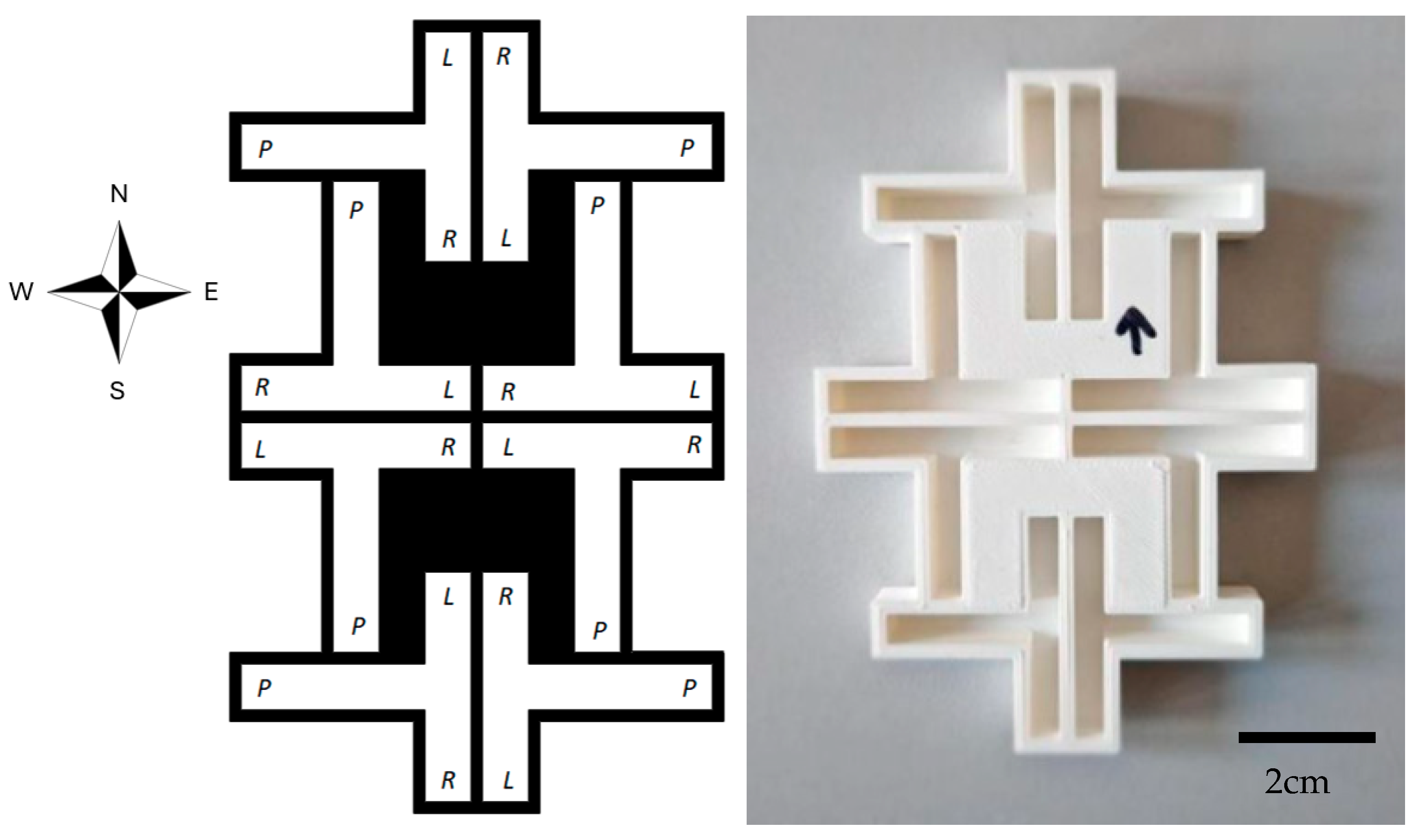 Symmetry 17 00756 g002 Symmetry 17 00756 g002