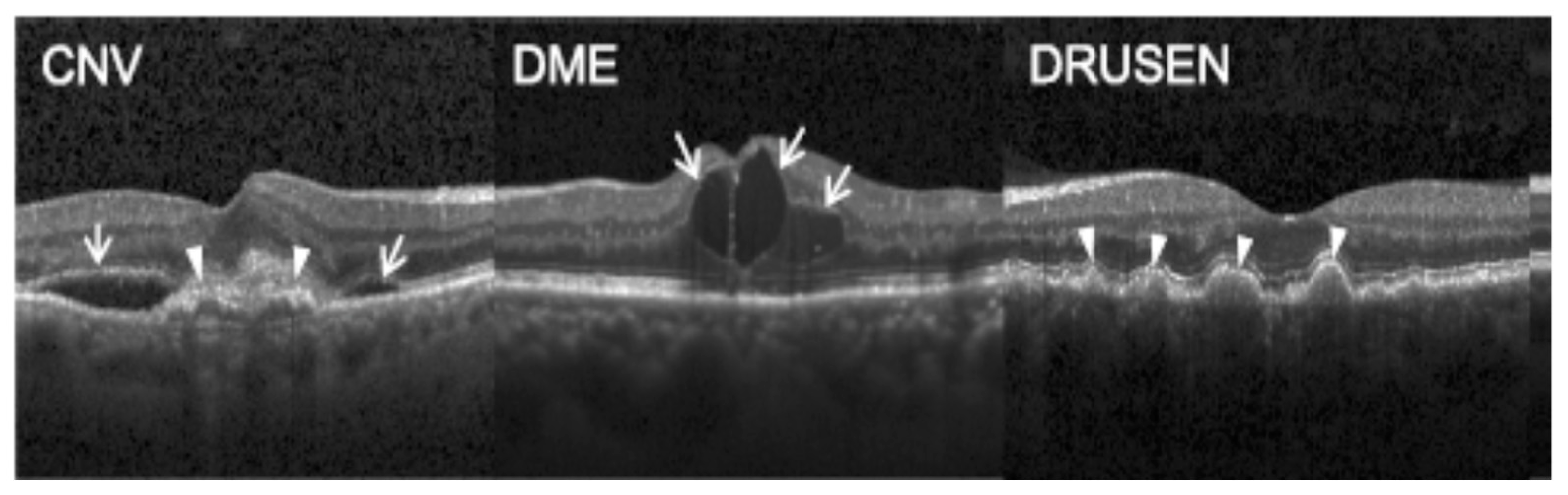 Symmetry 17 00768 g001