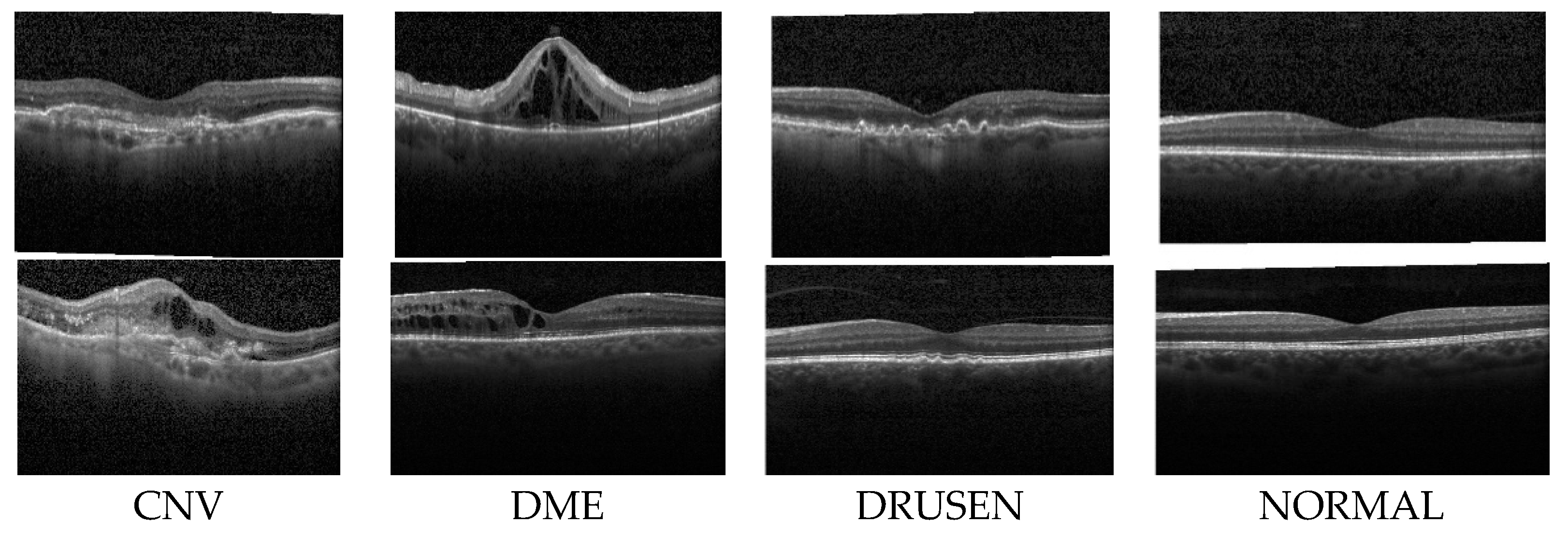 Symmetry 17 00768 g002