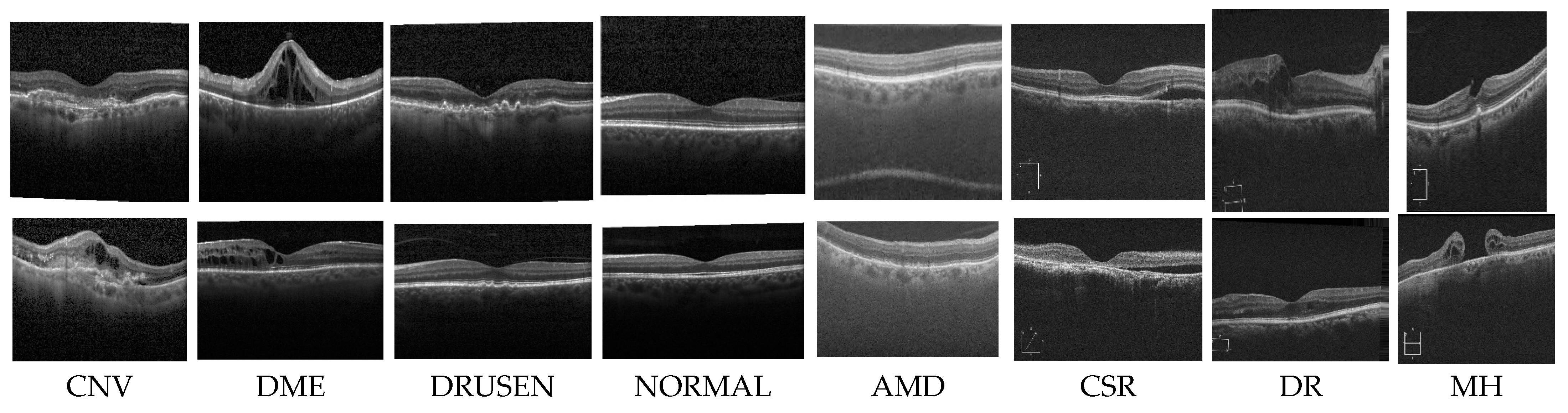 Symmetry 17 00768 g005