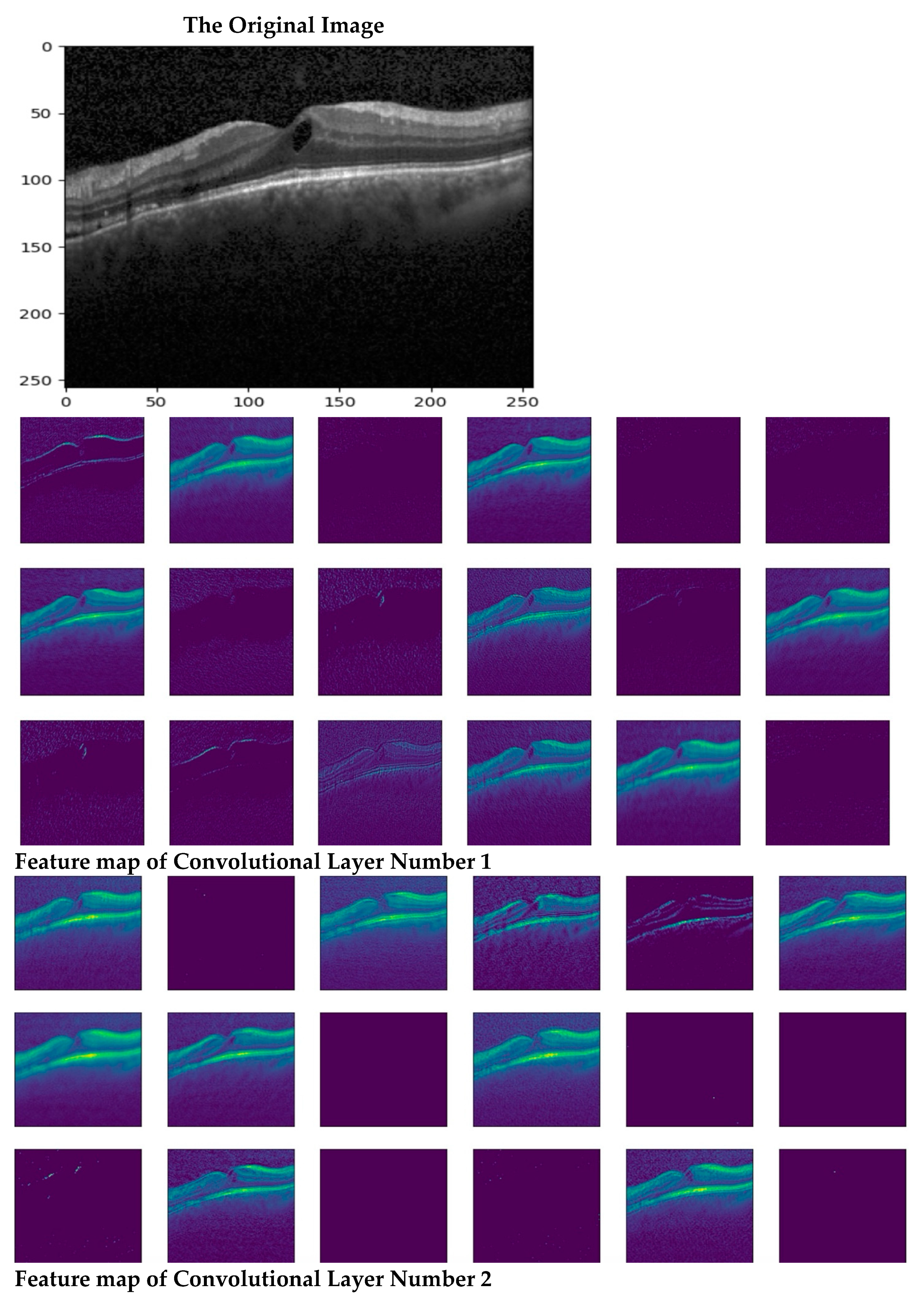 Symmetry 17 00768 g0a1a