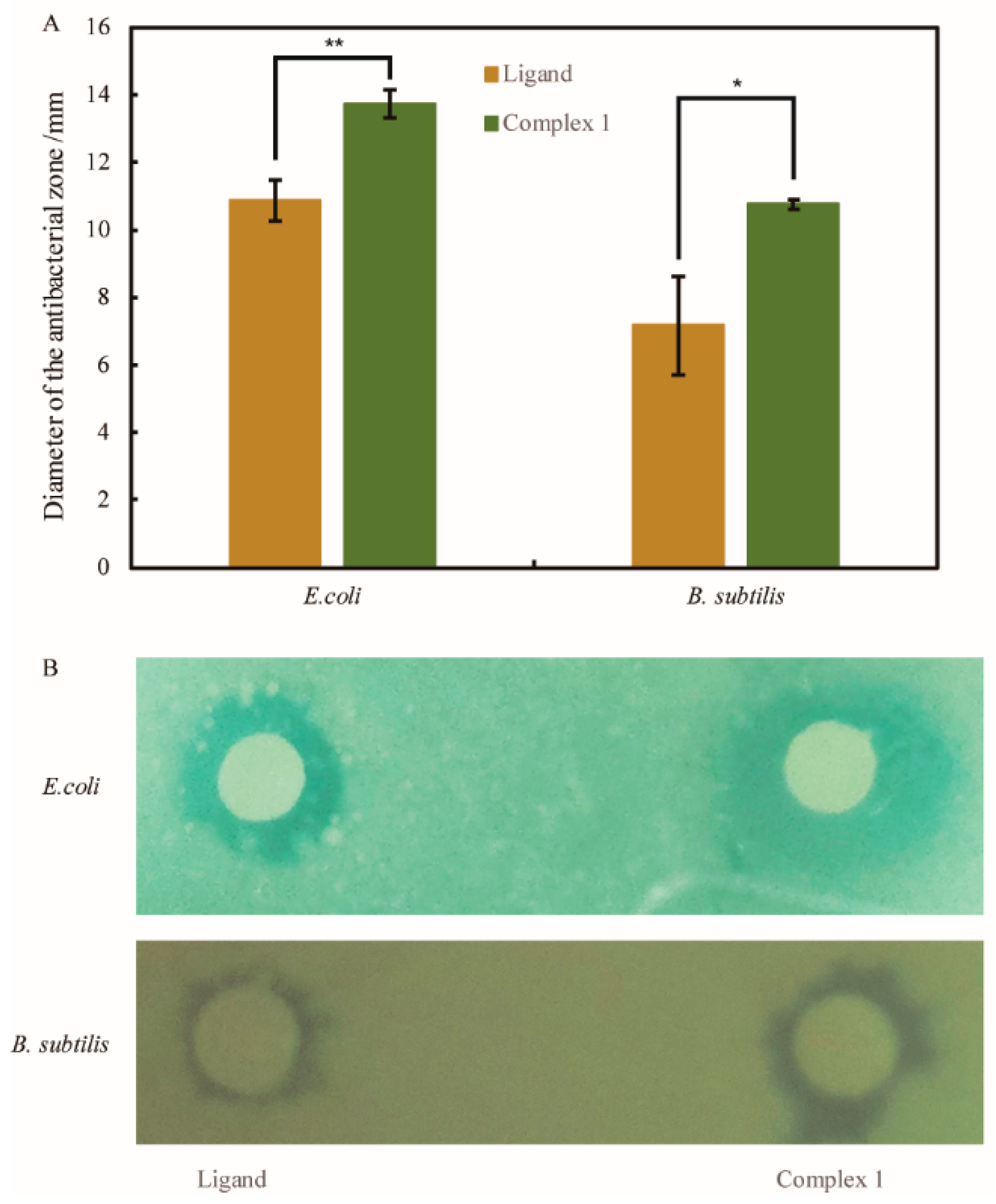 Symmetry 17 00791 g005