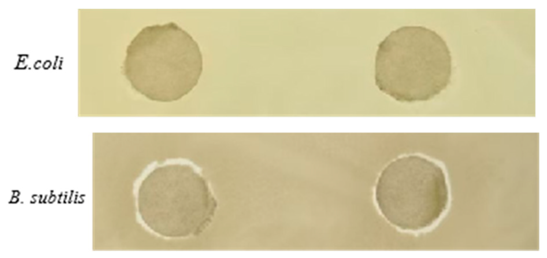 Symmetry 17 00791 g006