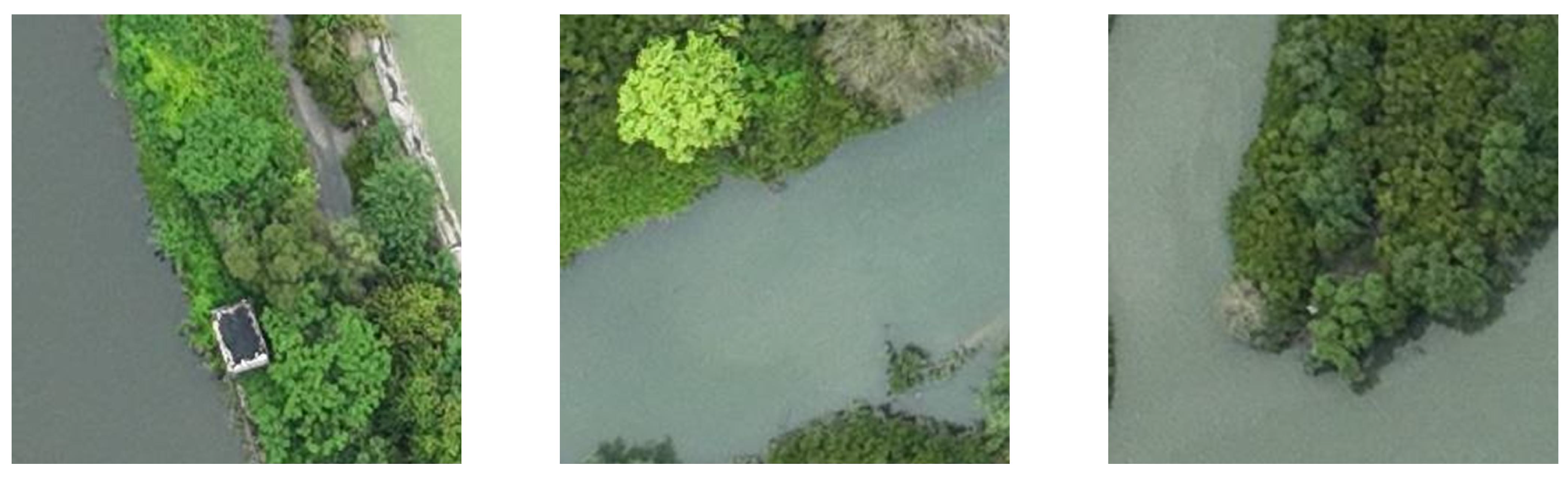 Symmetry 17 00793 g005