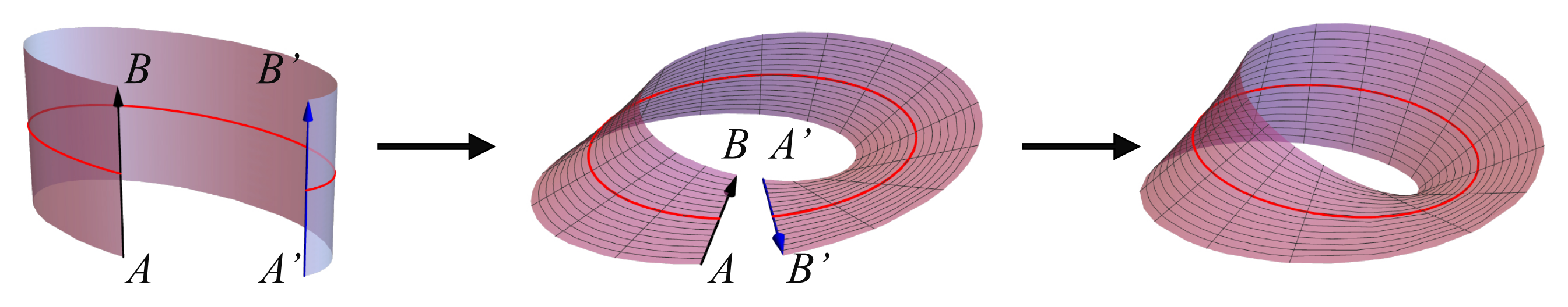 Symmetry 17 00807 g010