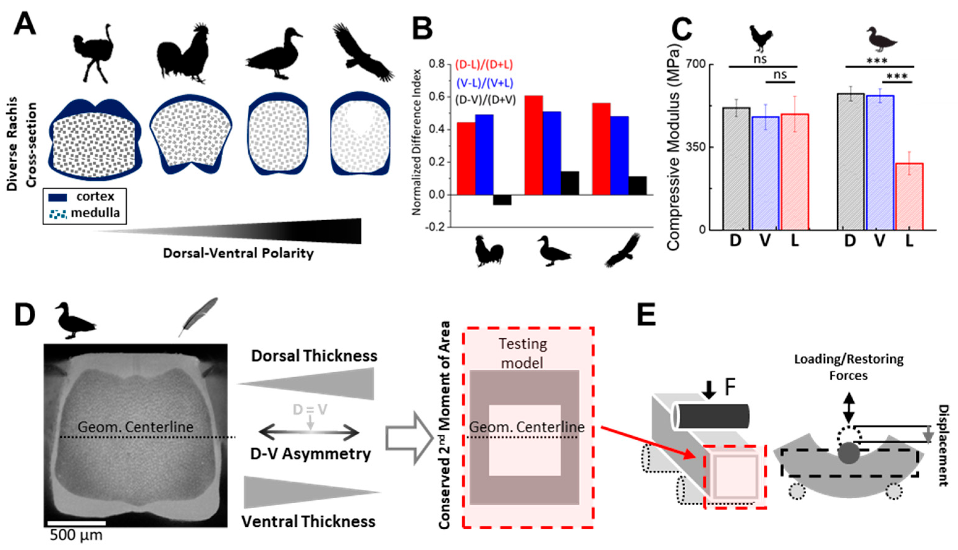 Symmetry 17 00880 g001