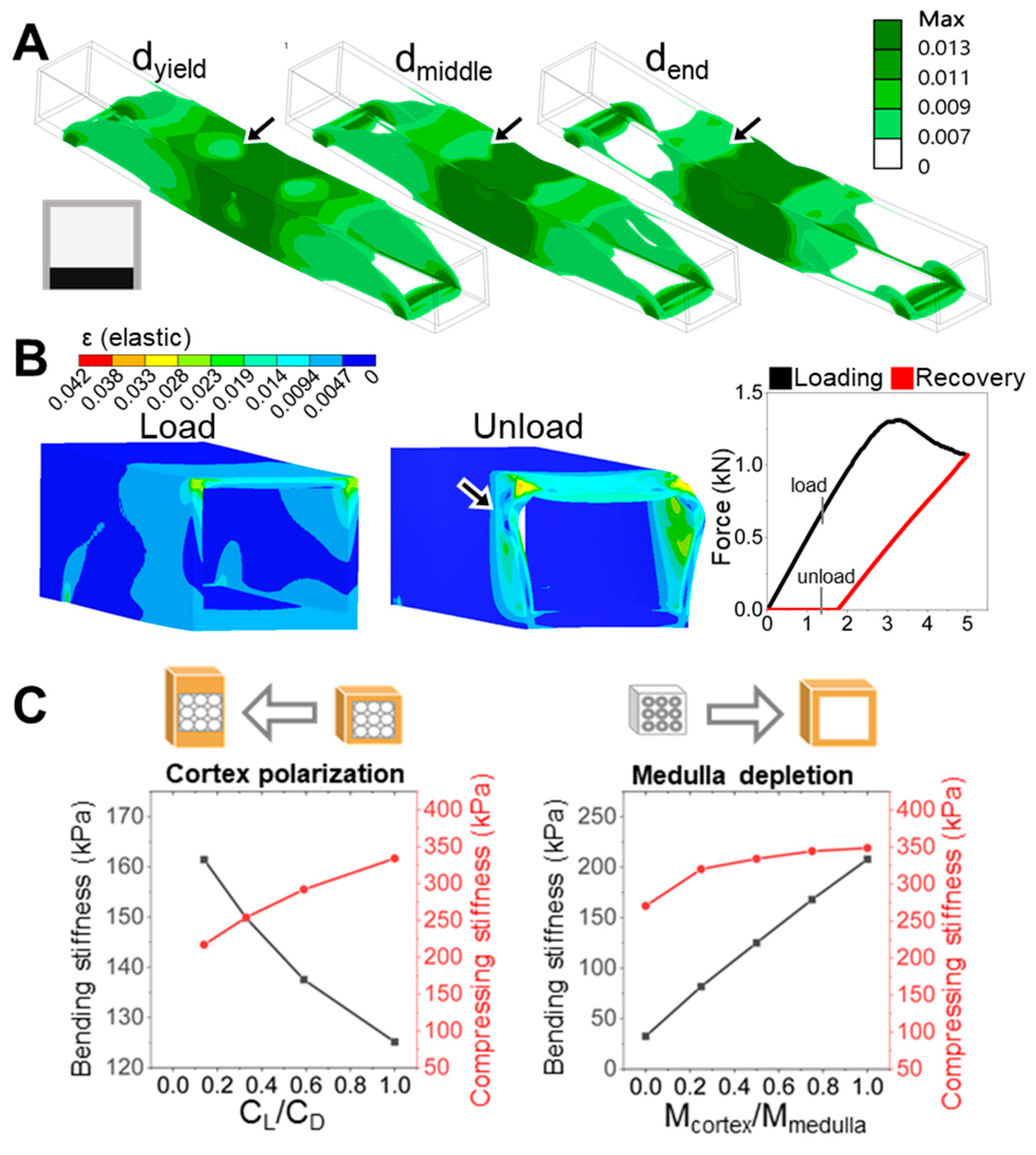 Symmetry 17 00880 g005