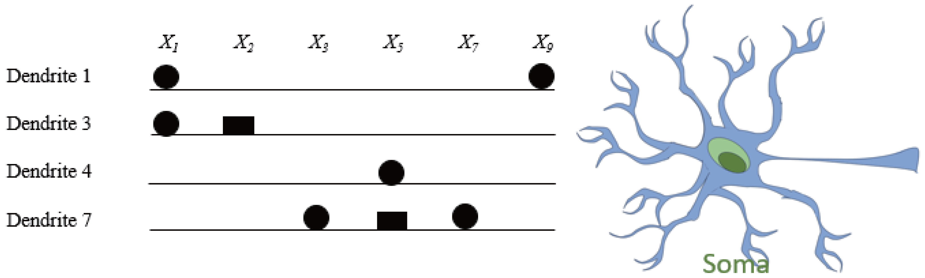 Symmetry 17 00891 g013