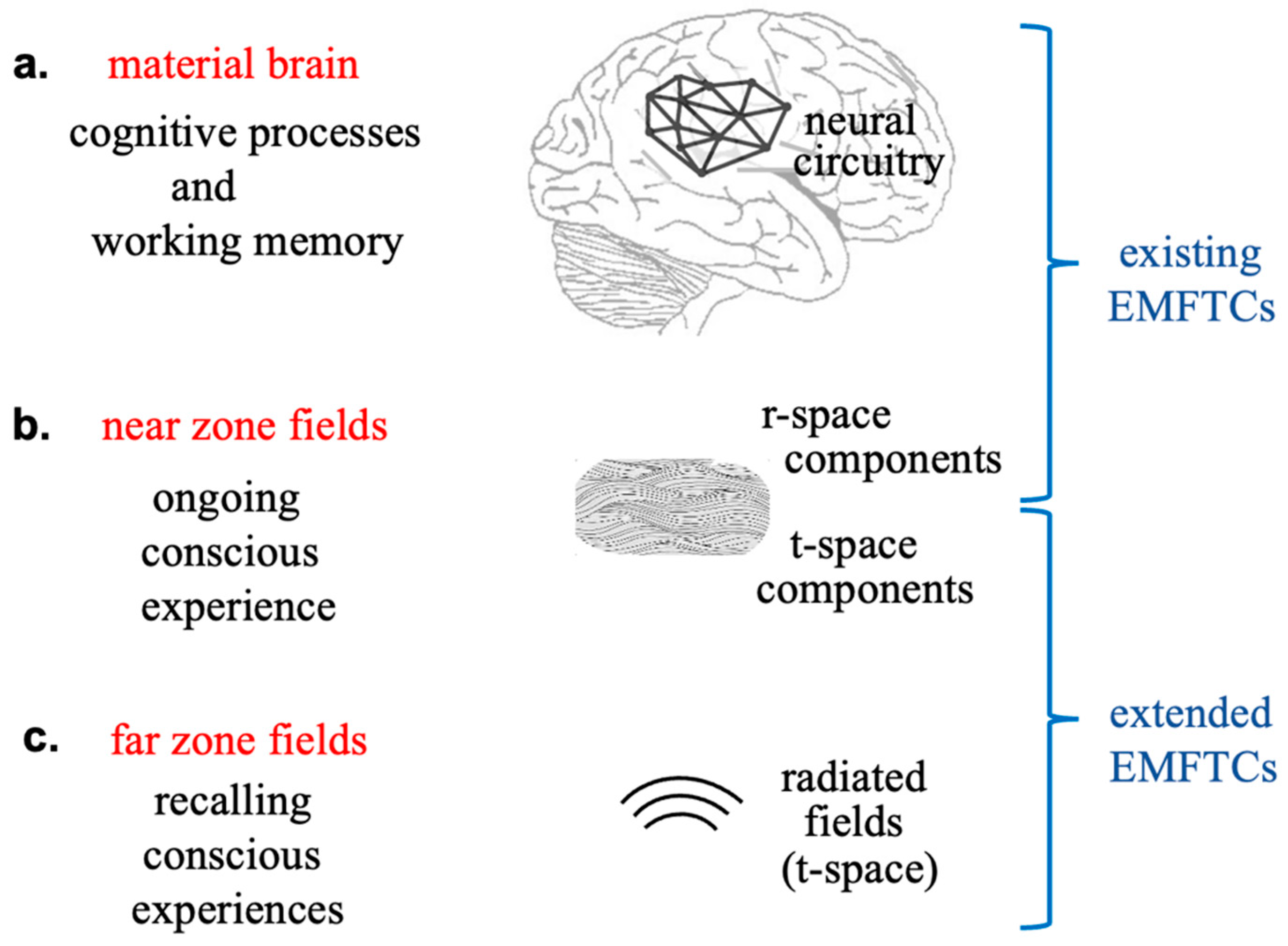 Symmetry 17 00992 g004