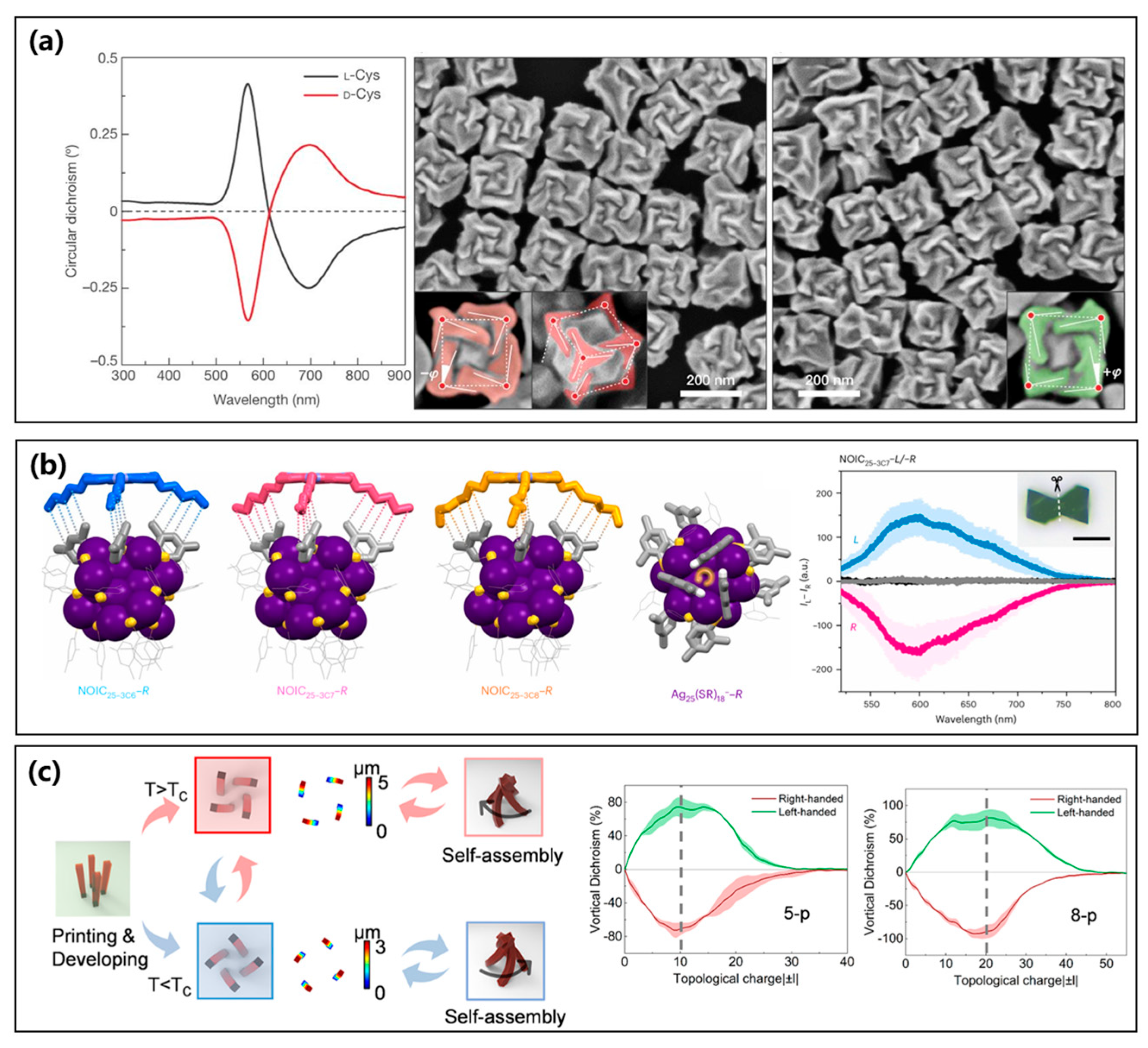 Symmetry 17 01001 g005