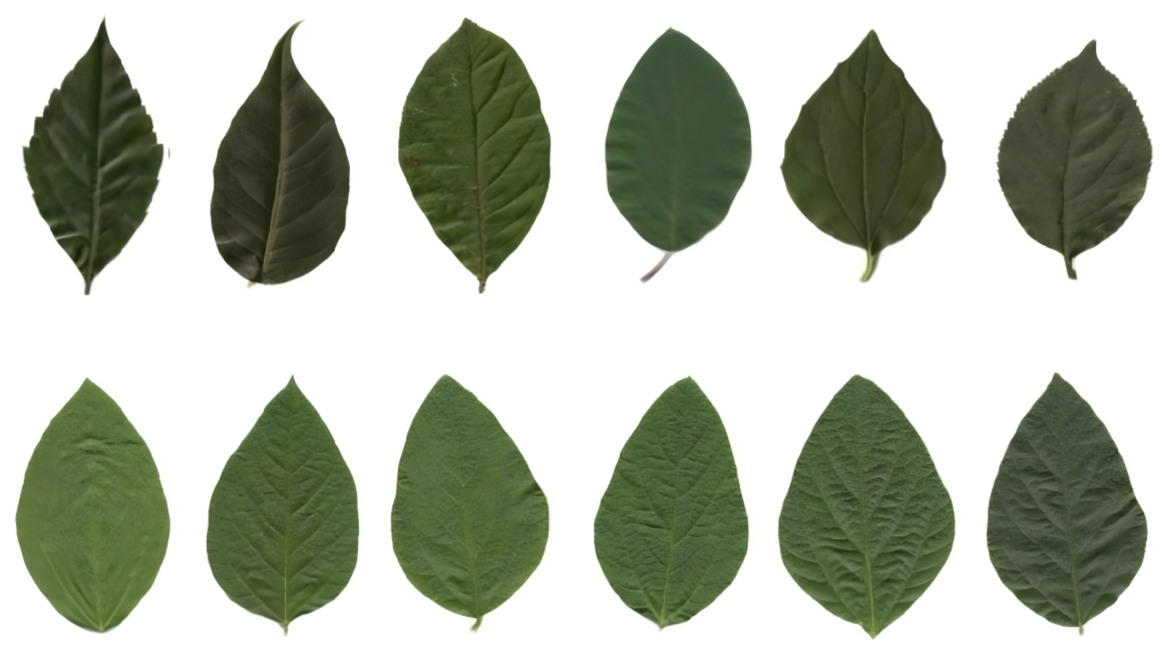 Symmetry 17 01049 g001