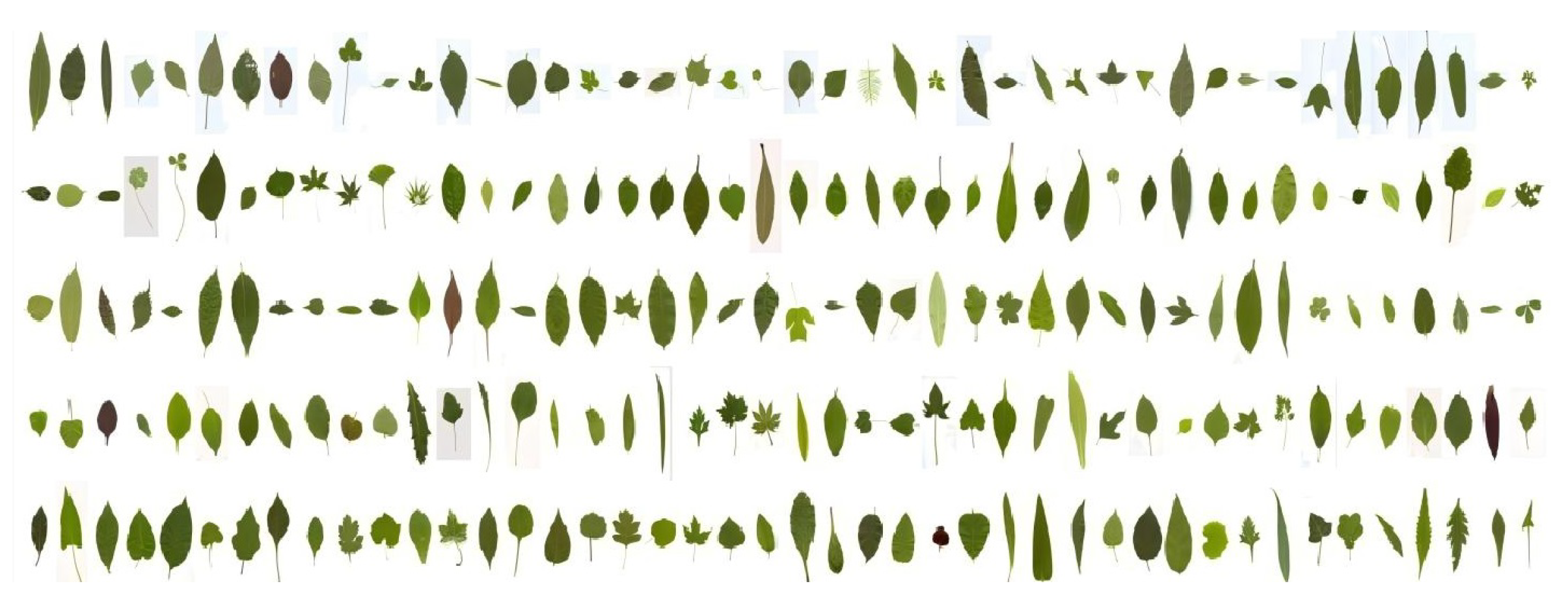 Symmetry 17 01049 g007