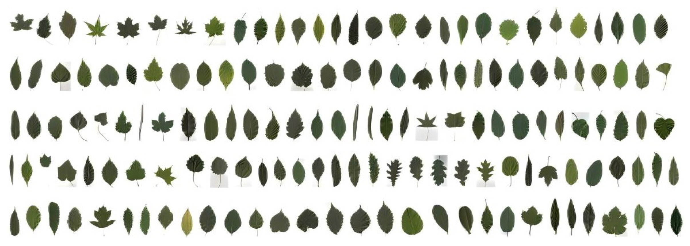 Symmetry 17 01049 g008