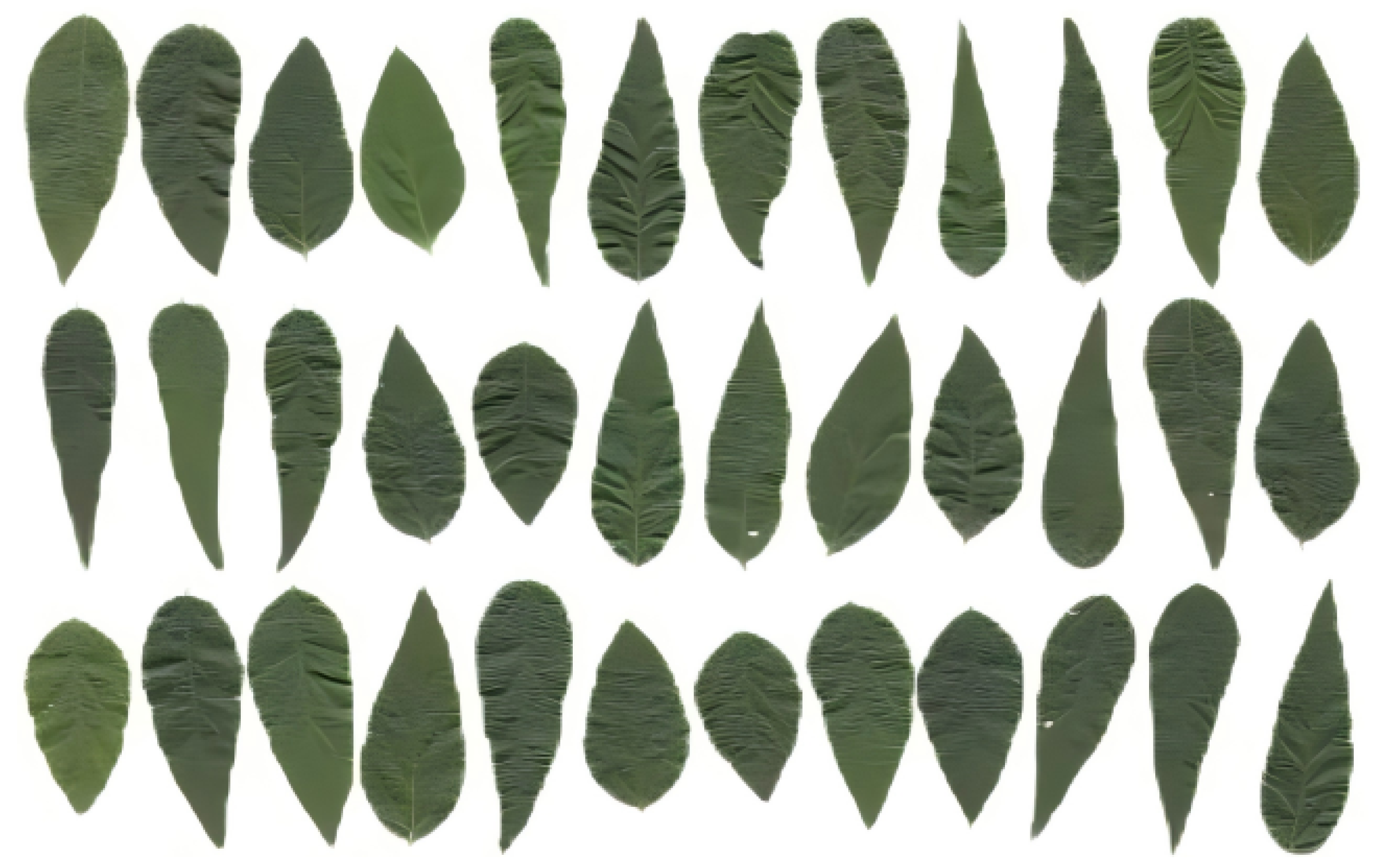 Symmetry 17 01049 g009